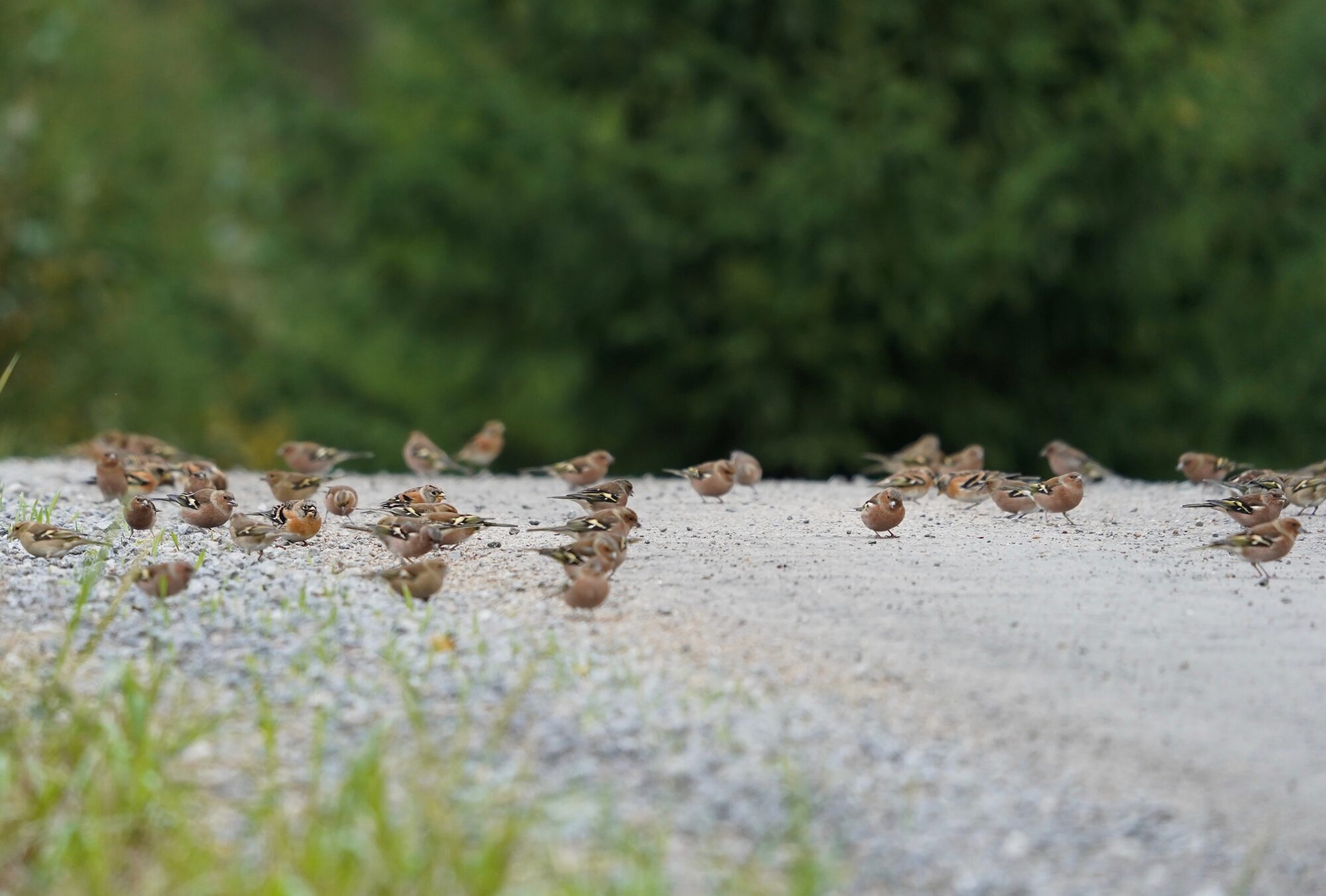 Valokuvaaja: Markku Ranta-Eilola