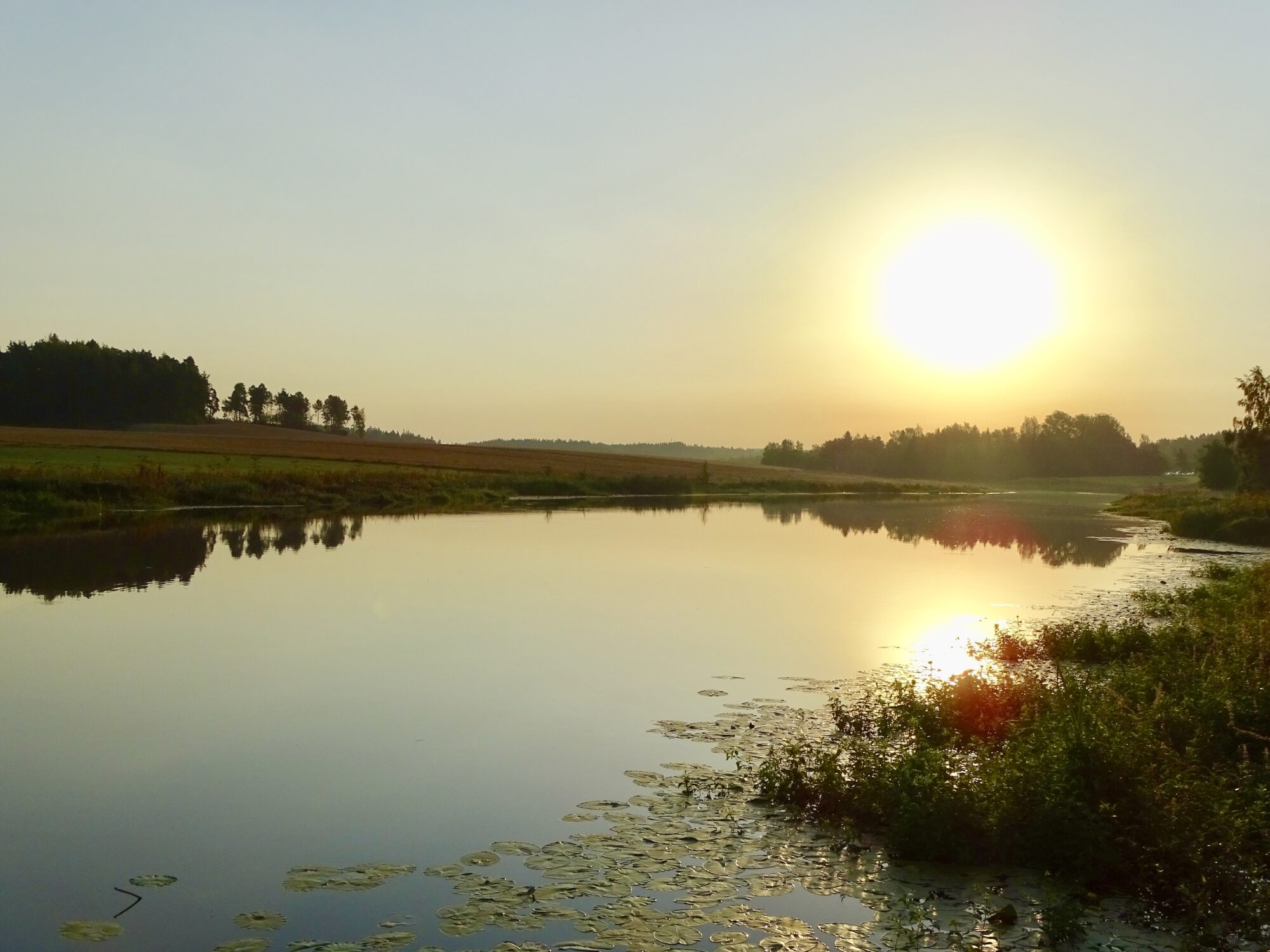 Valokuvaaja: Juhani Peltonen