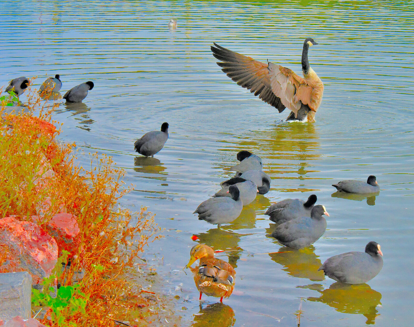 Valokuvaaja: Reijo Juurinen