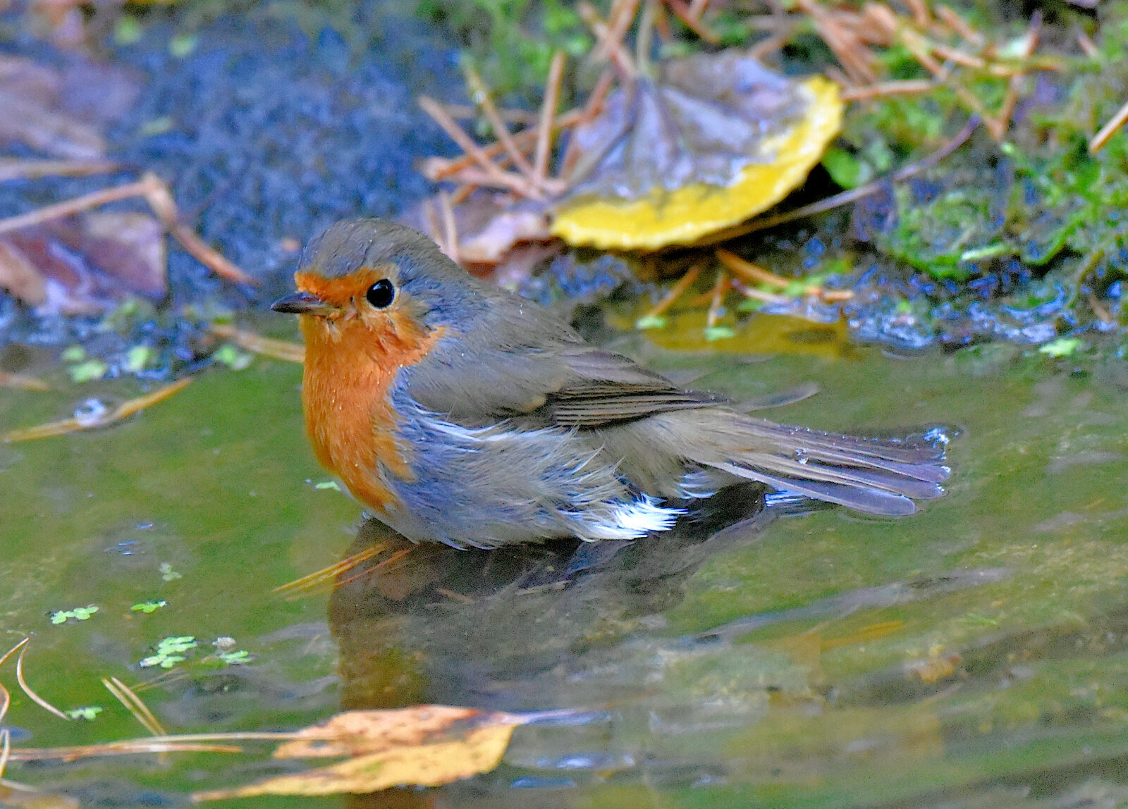 Valokuvaaja: Reijo Juurinen