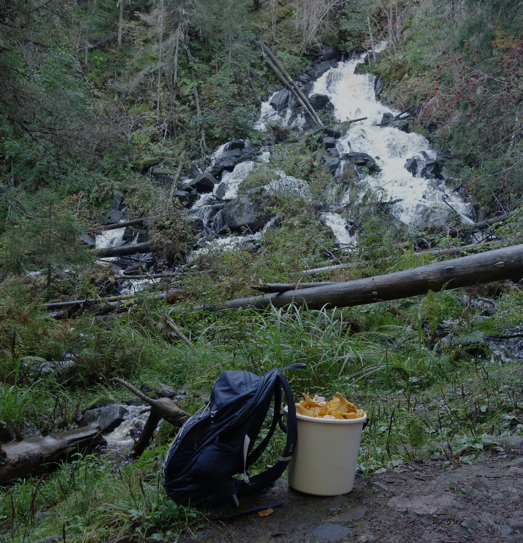 Valokuvaaja: Kaarina Heiskanen