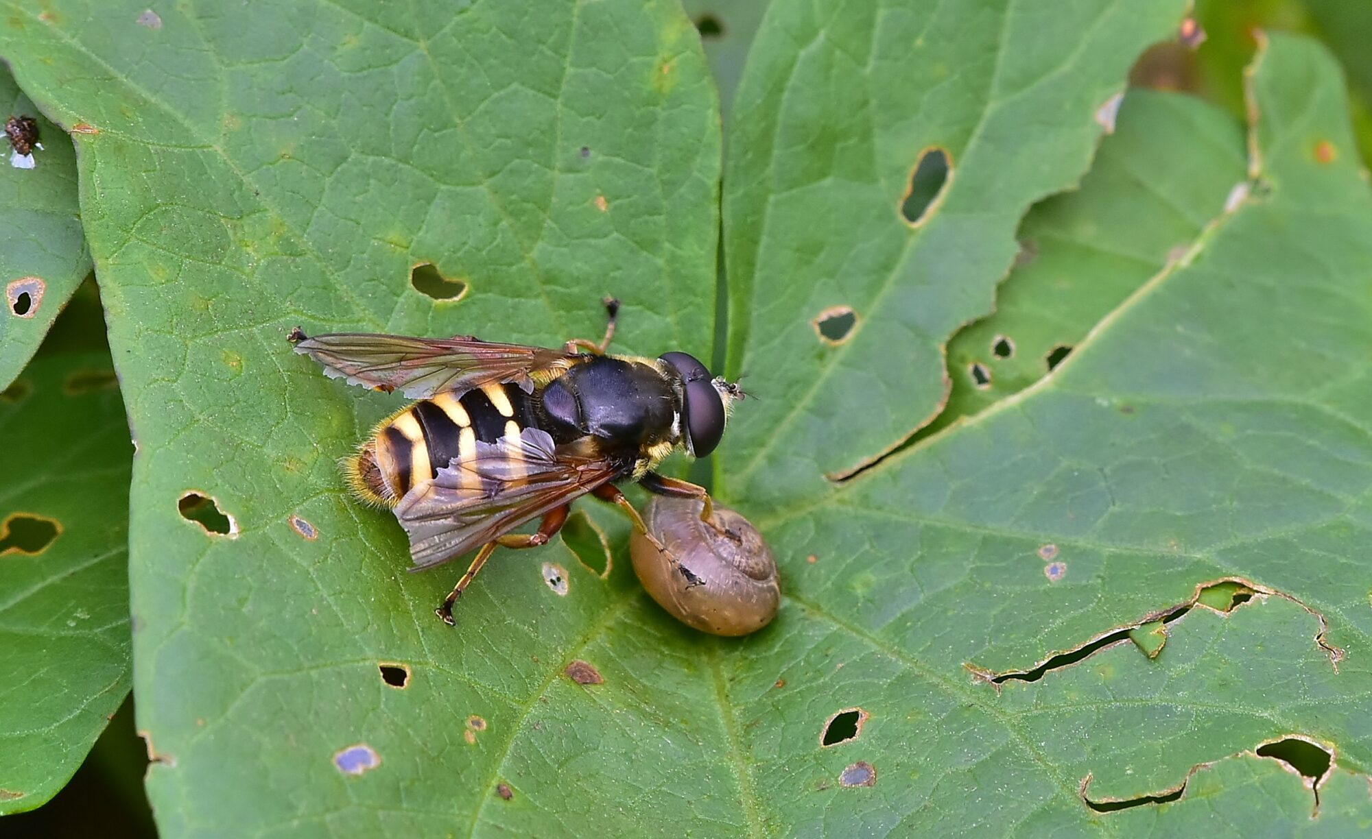 Valokuvaaja: Markku Pelkonen