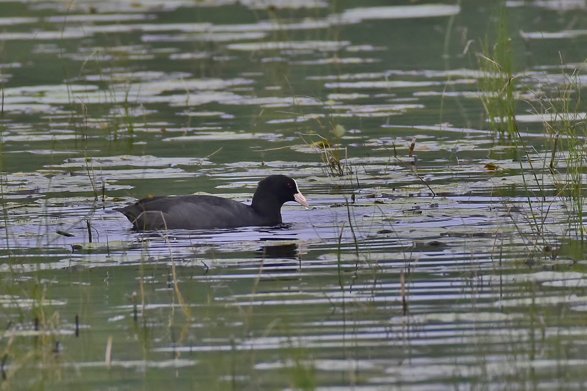 Valokuvaaja: Markku Pelkonen