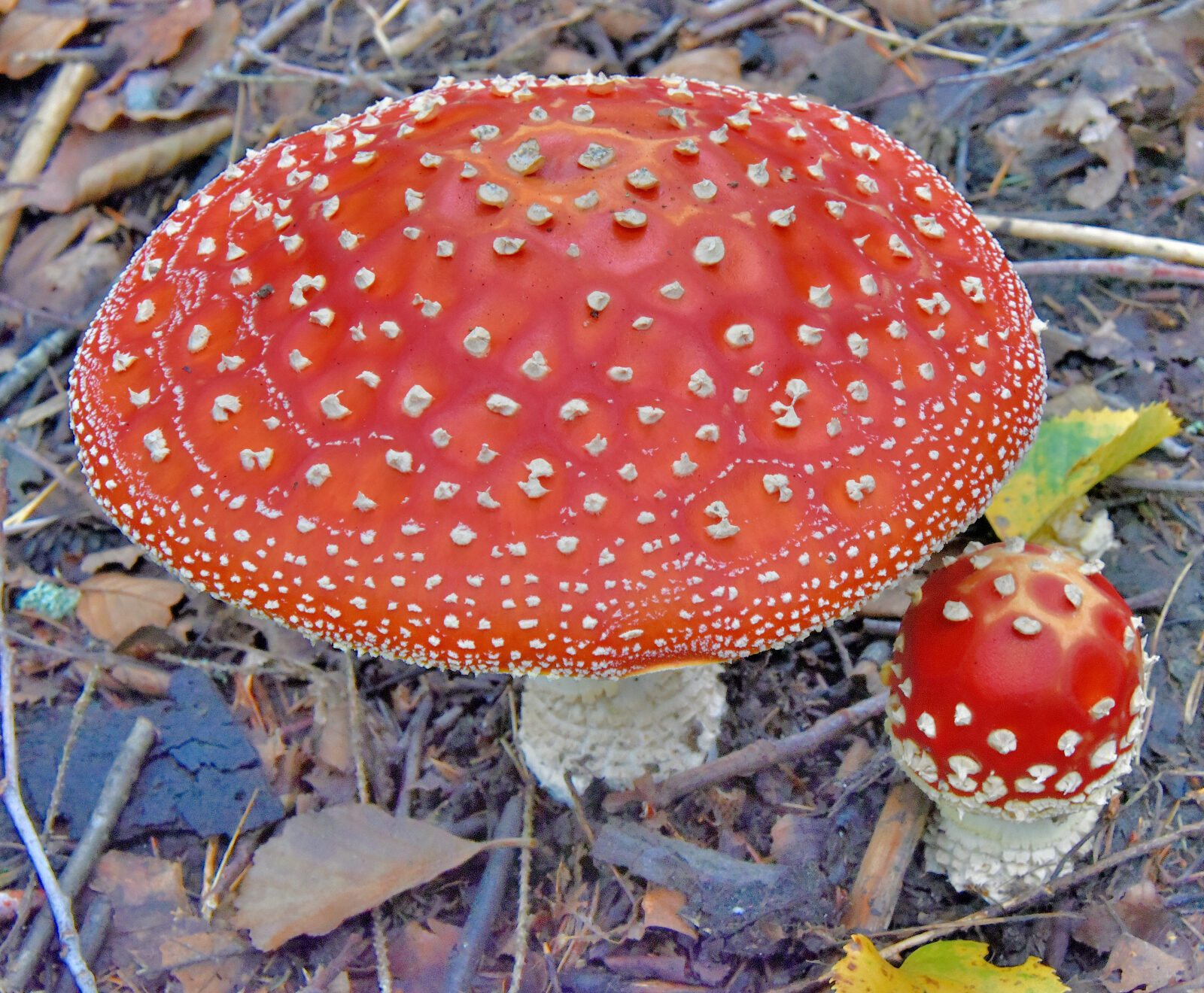 Valokuvaaja: Reijo Juurinen