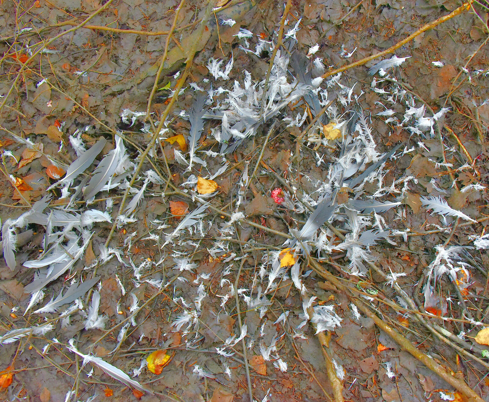 Valokuvaaja: Reijo Juurinen