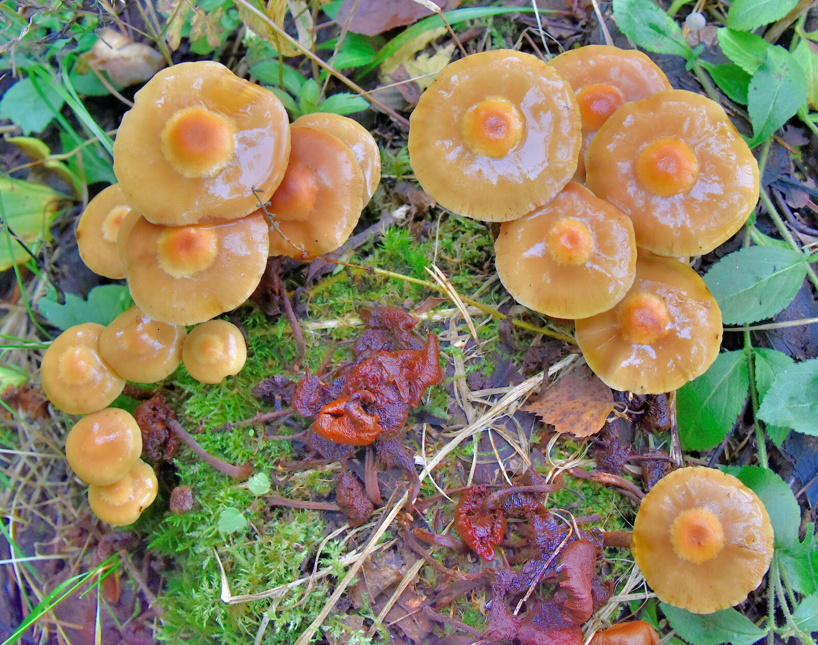 Valokuvaaja: Reijo Juurinen Valokuvaaja: Reijo Juurinen