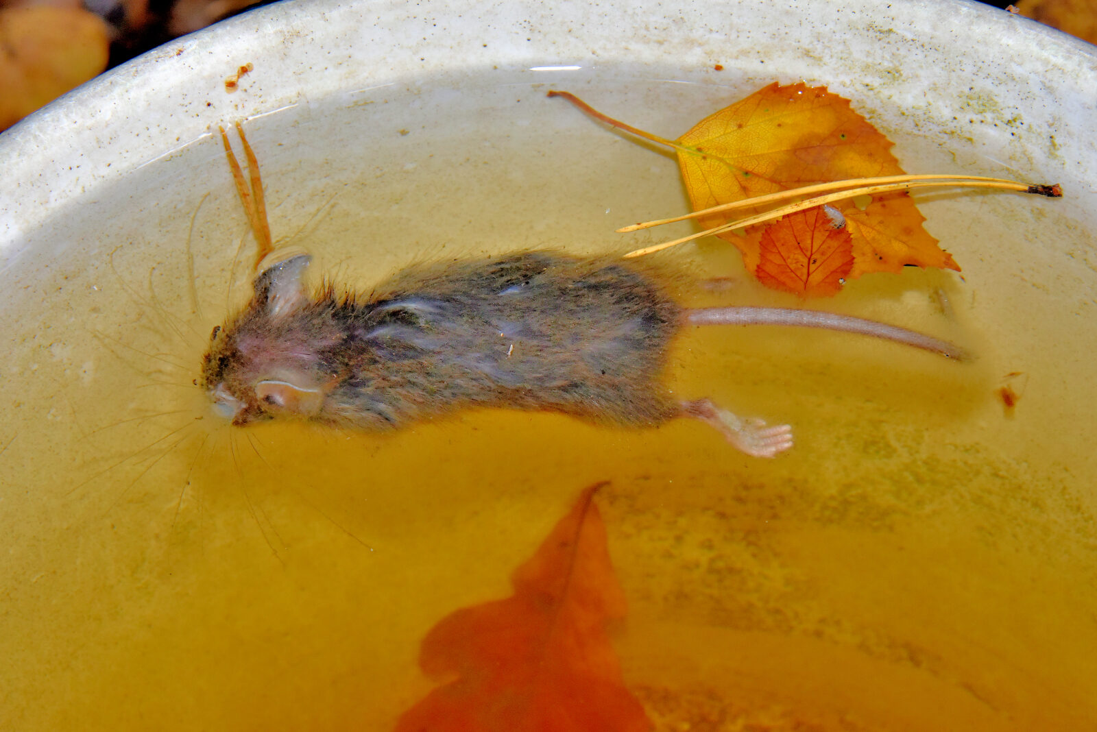 Valokuvaaja: Reijo Juurinen