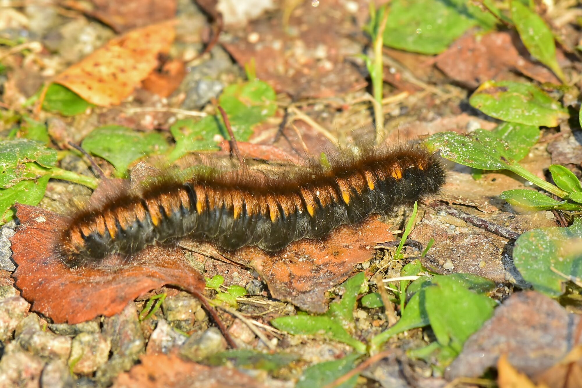 Valokuvaaja: Markku Pelkonen