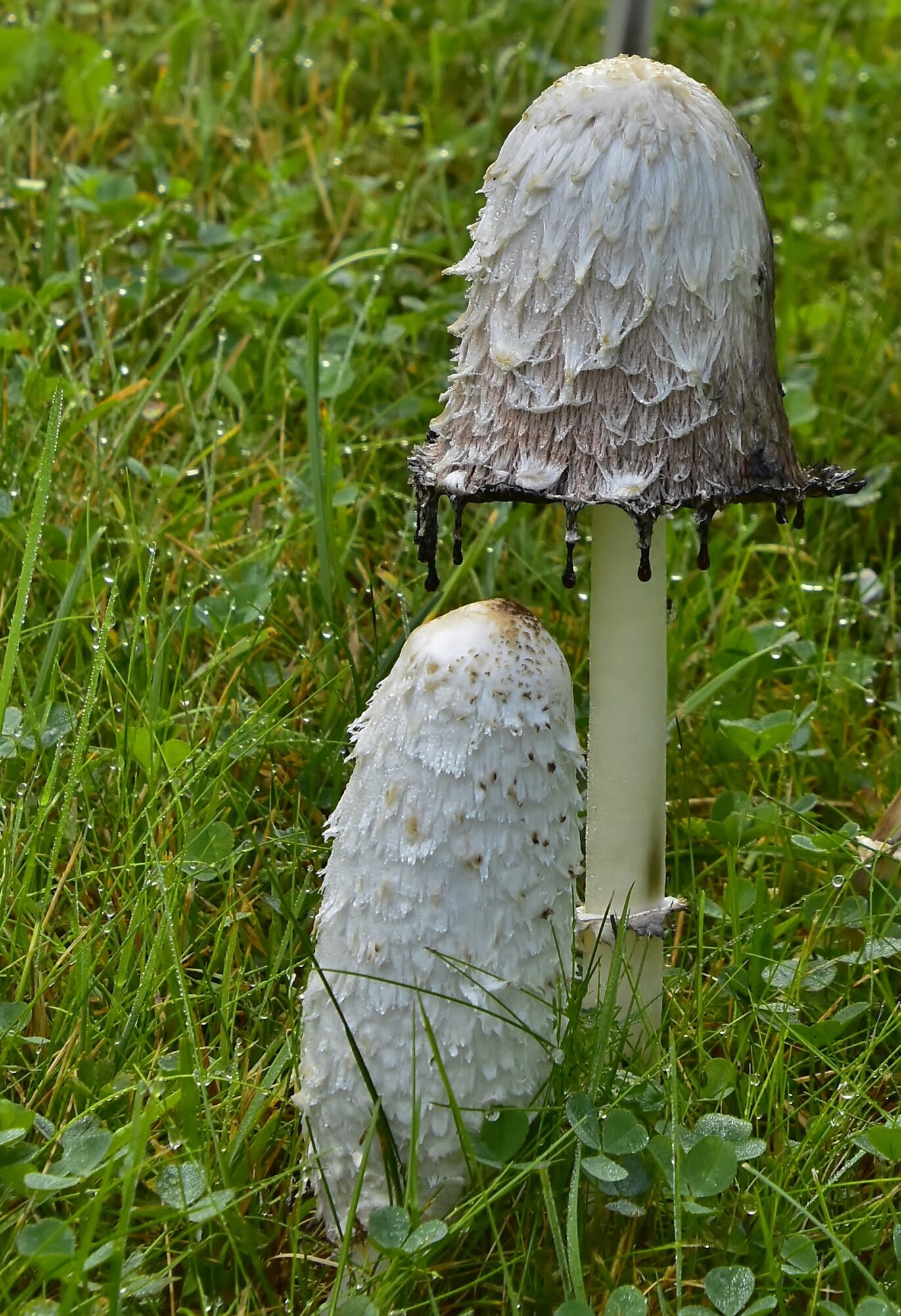 Valokuvaaja: Markku Pelkonen