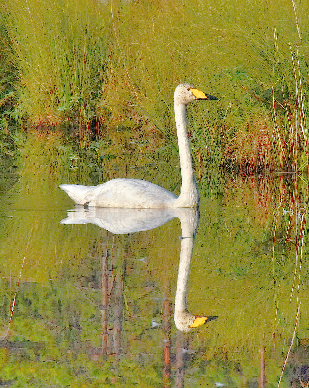 Valokuvaaja: Reijo Juurinen