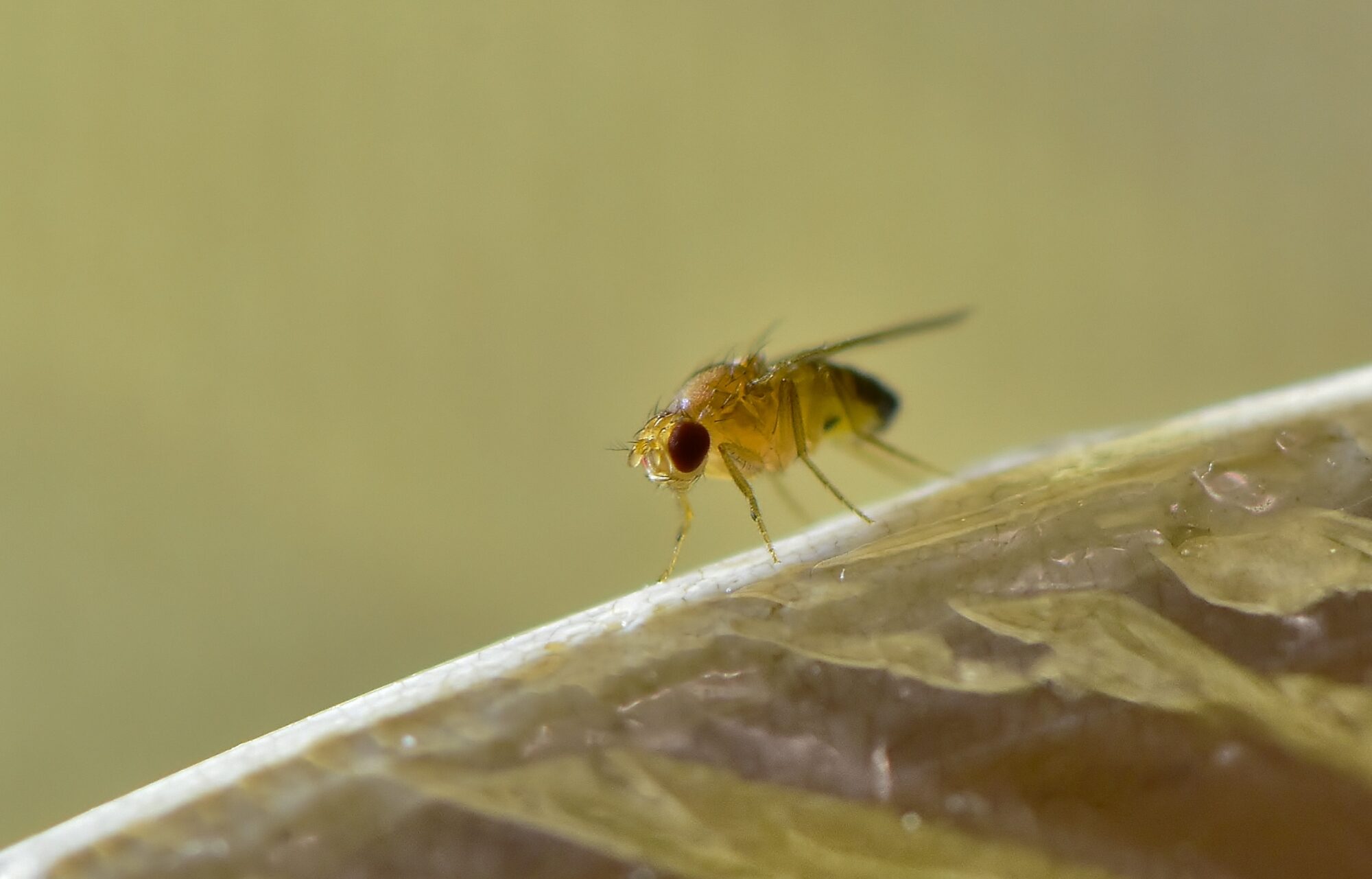 Valokuvaaja: Markku Pelkonen