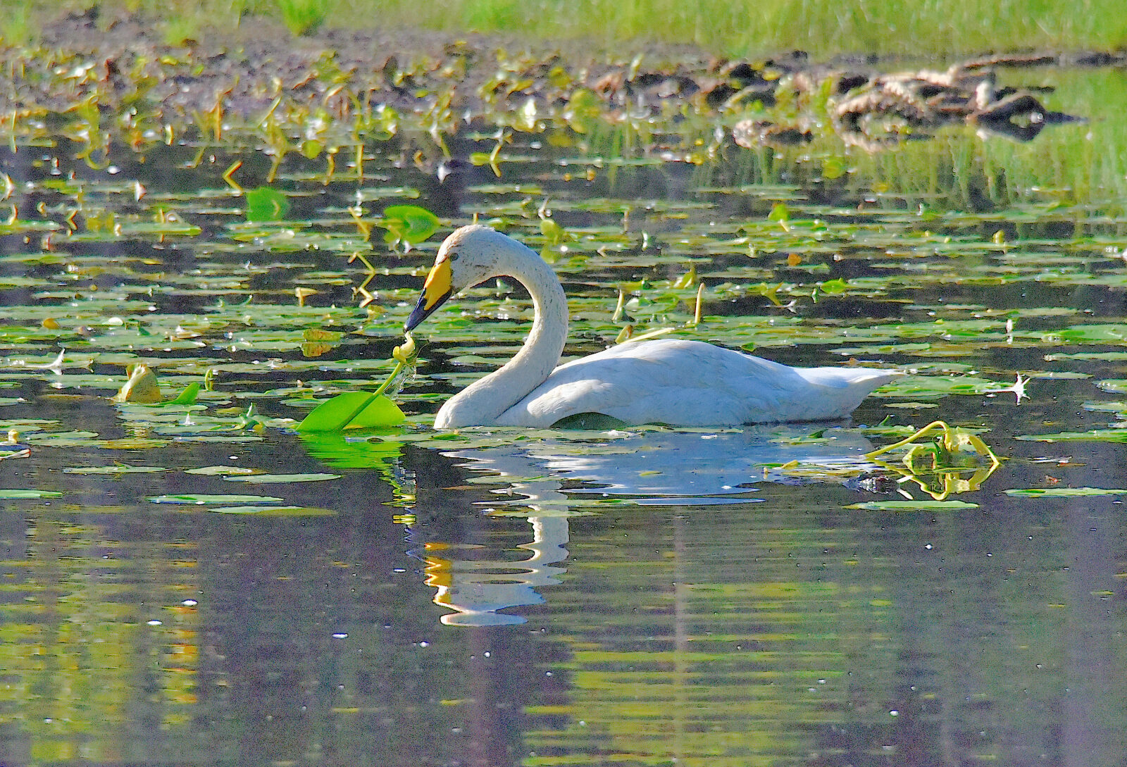 Valokuvaaja: Reijo Juurinen Valokuvaaja: Reijo Juurinen