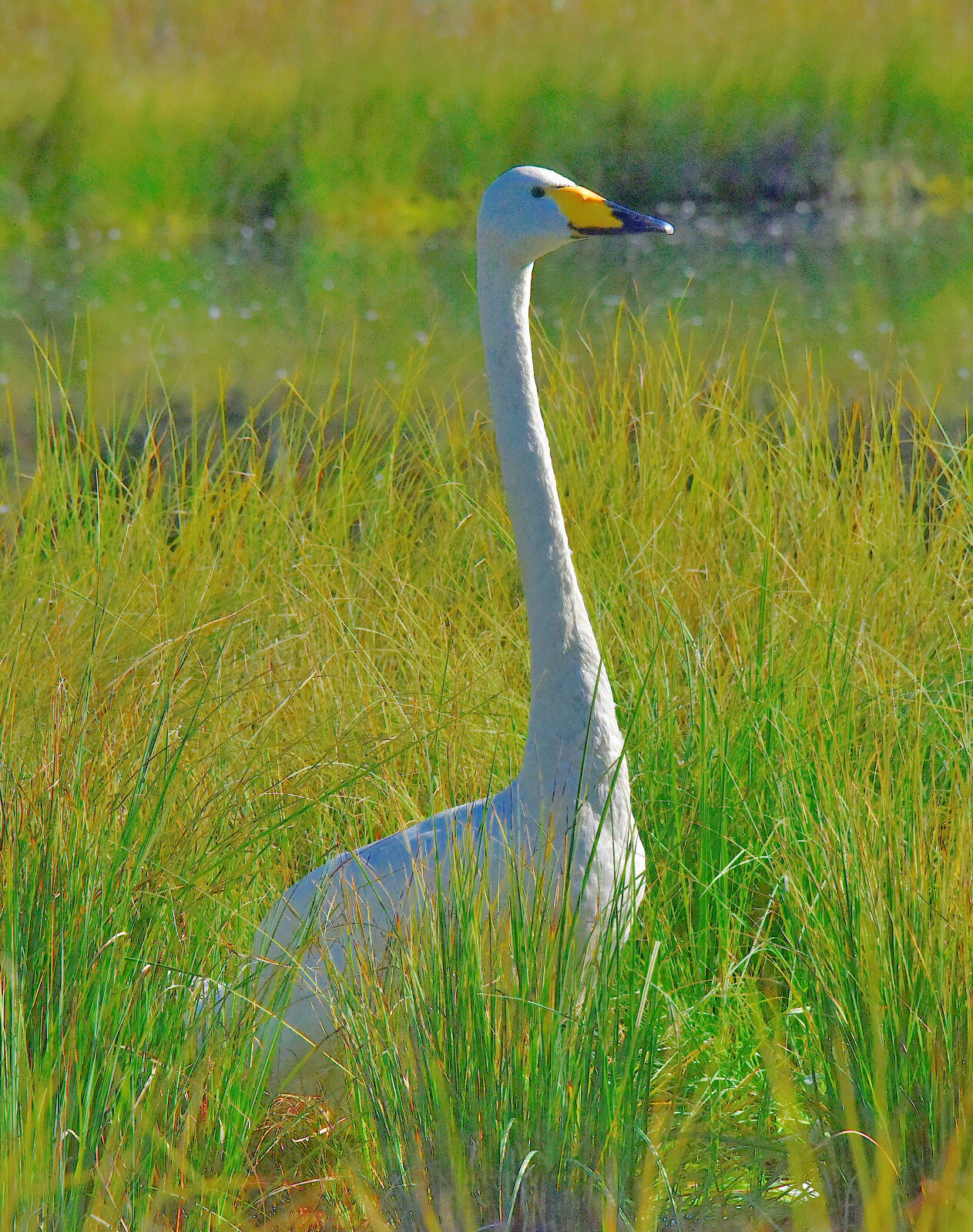 Valokuvaaja: Reijo Juurinen
