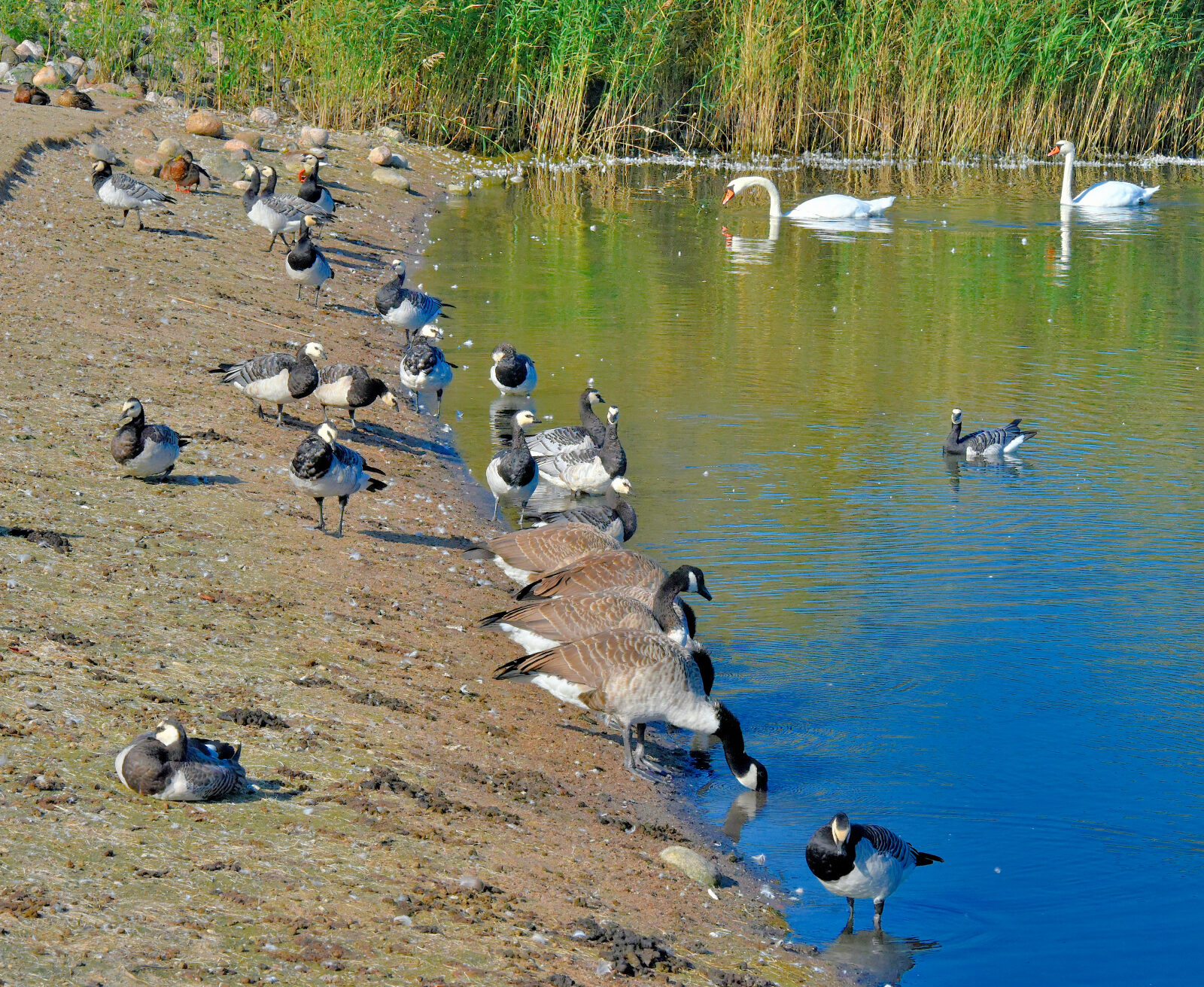 Valokuvaaja: Reijo Juurinen