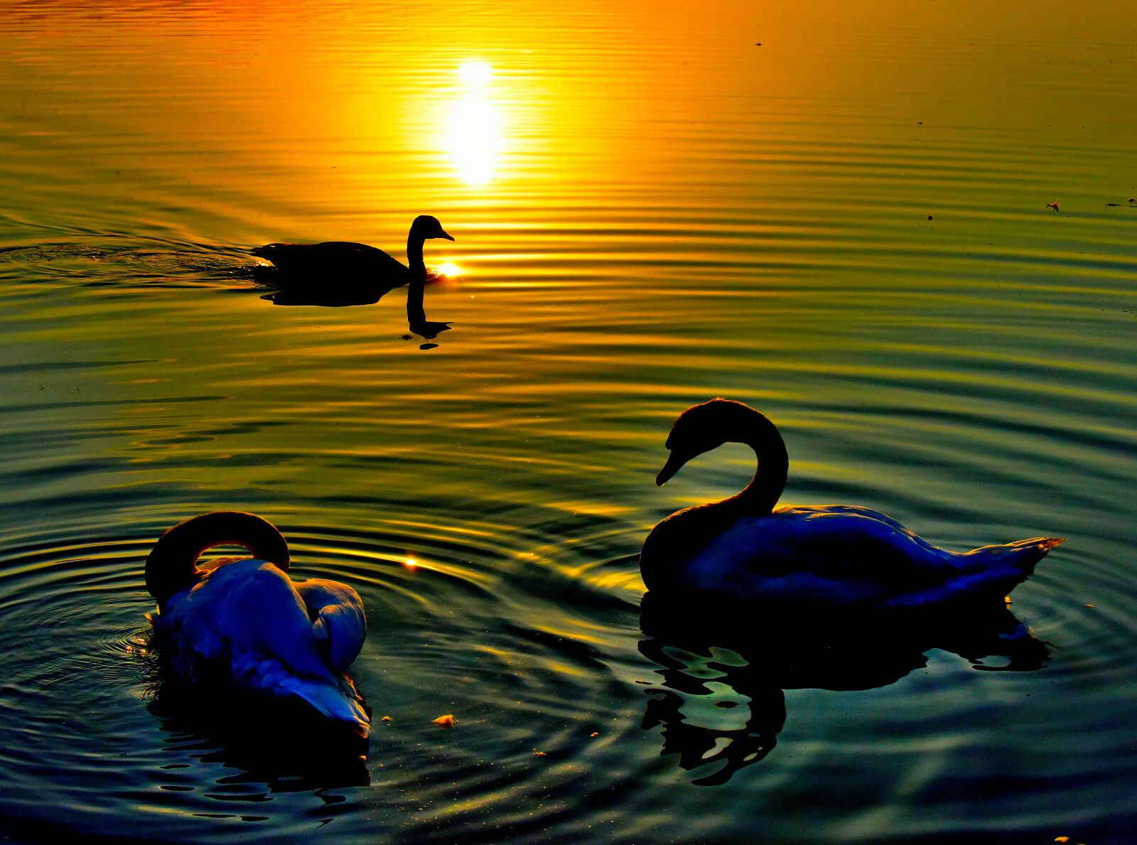 Valokuvaaja: Reijo Juurinen