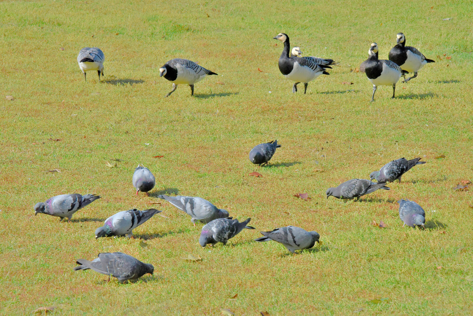 Valokuvaaja: Reijo Juurinen