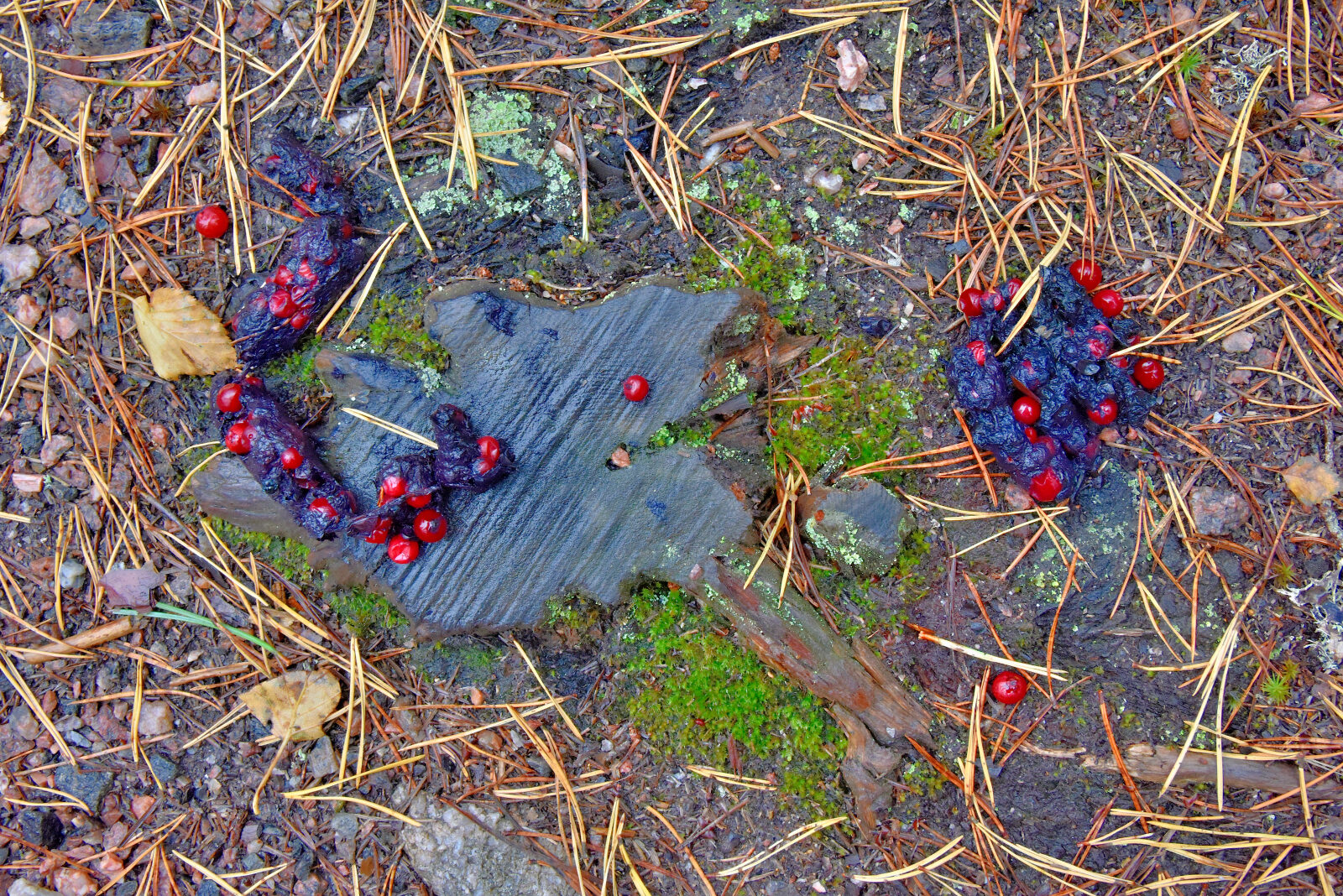 Valokuvaaja: Reijo Juurinen