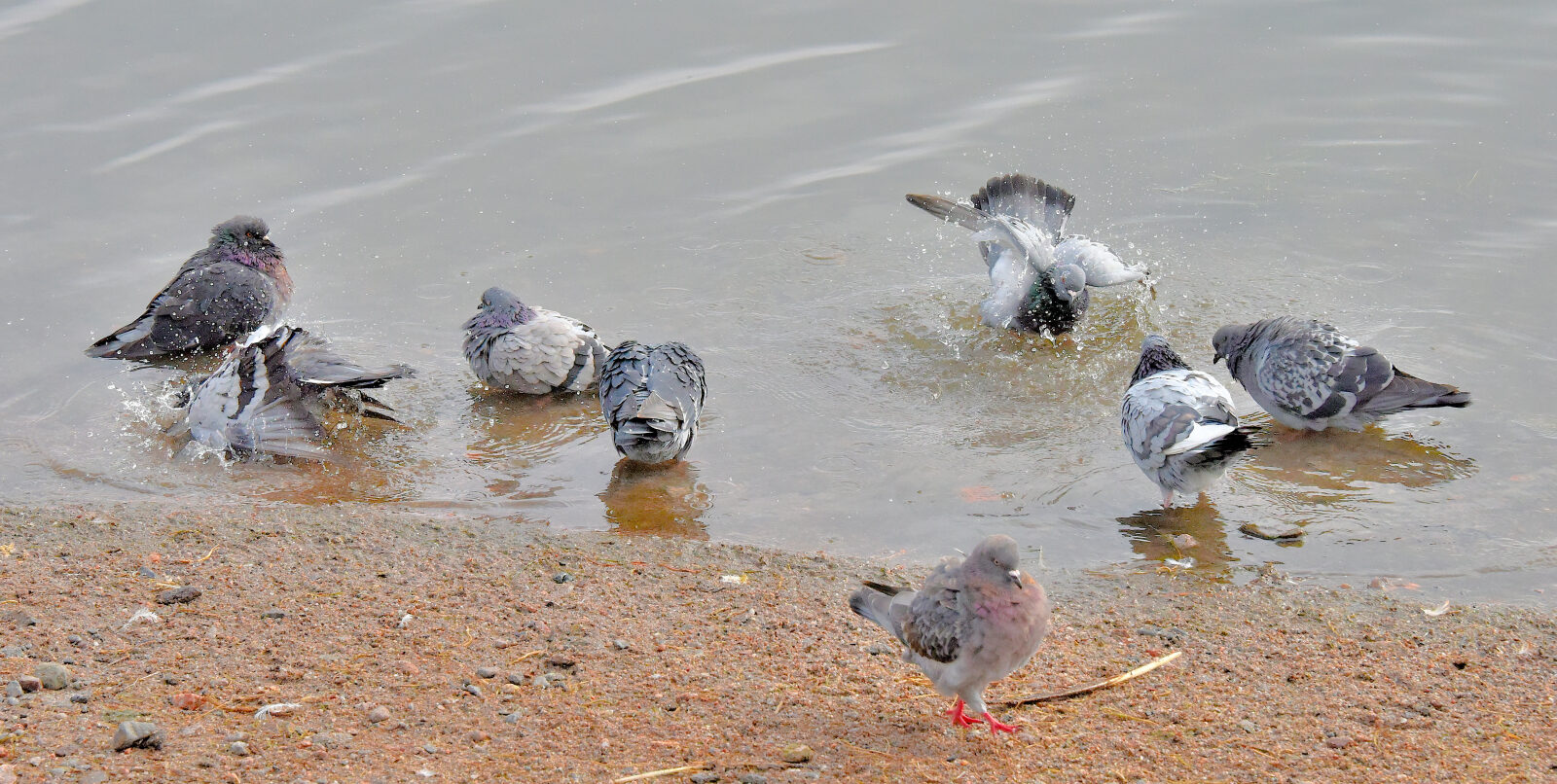 Valokuvaaja: Reijo Juurinen