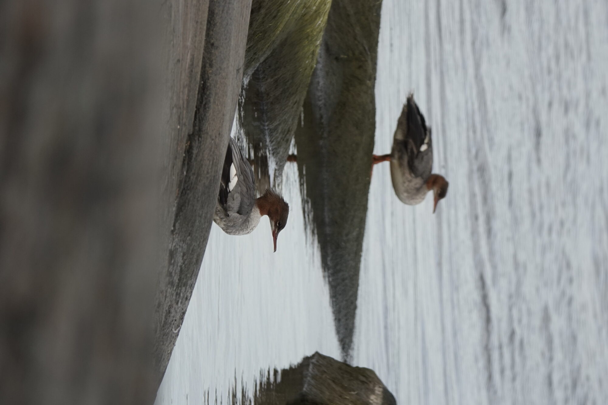 Valokuvaaja: Jenna Pitkänen