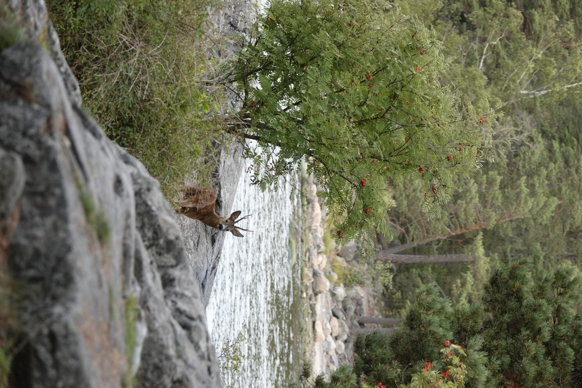 Valokuvaaja: Jenna Pitkänen
