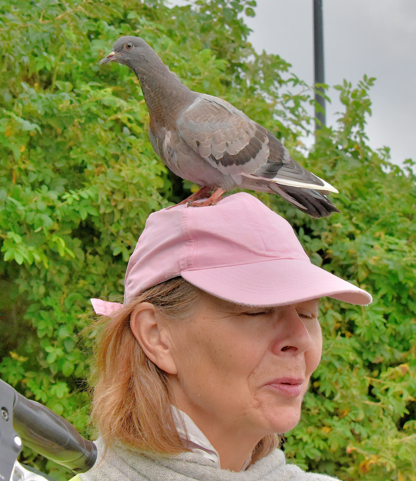 Valokuvaaja: Reijo Juurinen