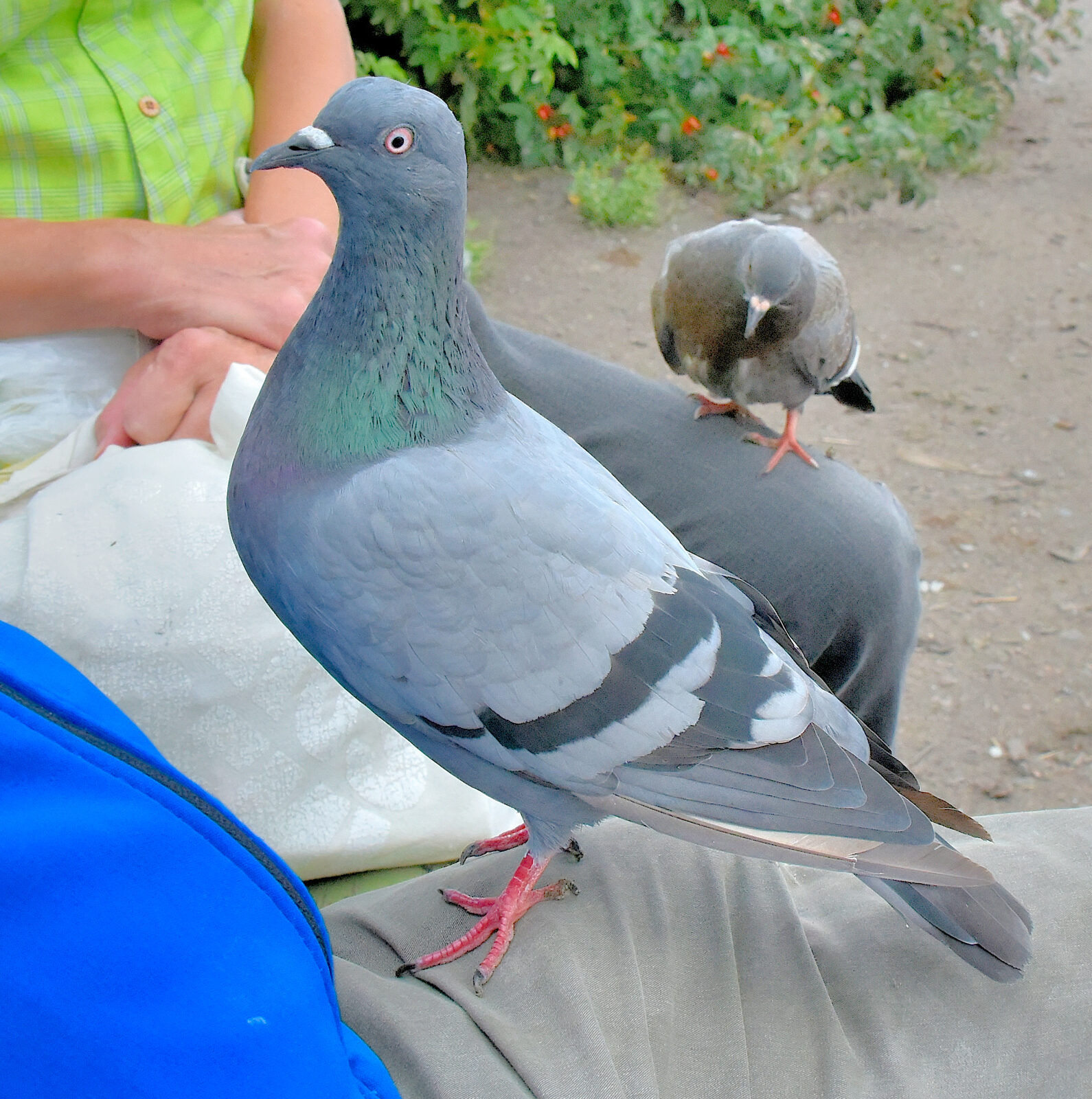 Valokuvaaja: Reijo Juurinen