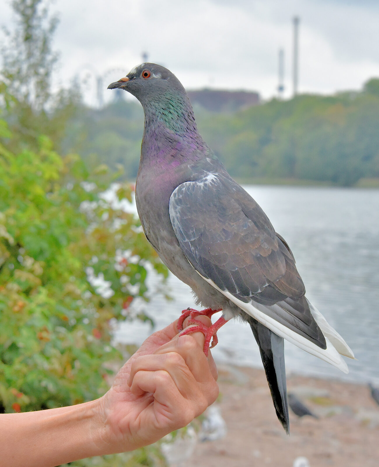 Valokuvaaja: Reijo Juurinen