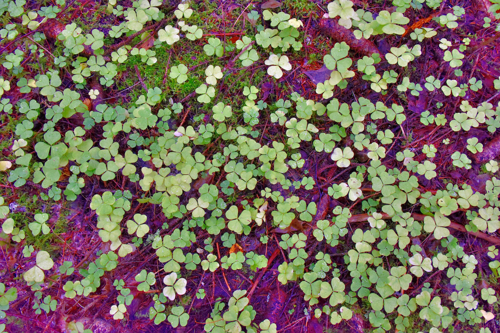 Valokuvaaja: Reijo Juurinen