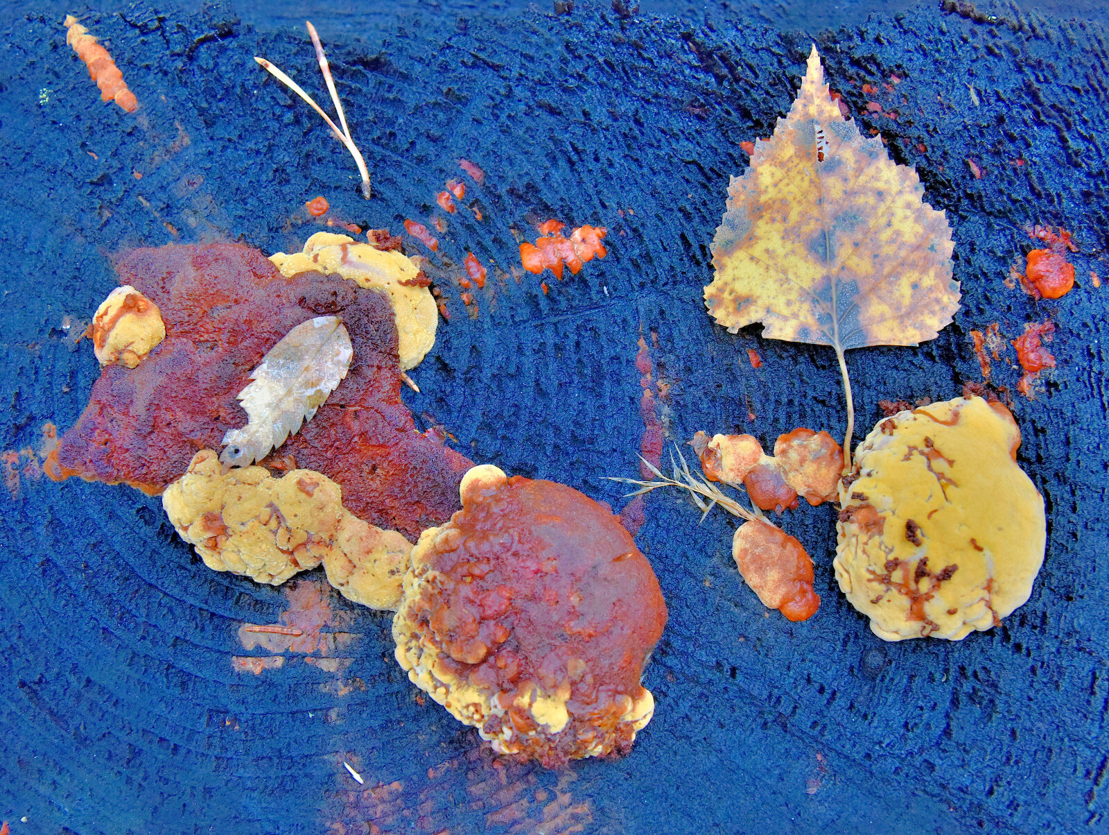 Valokuvaaja: Reijo Juurinen