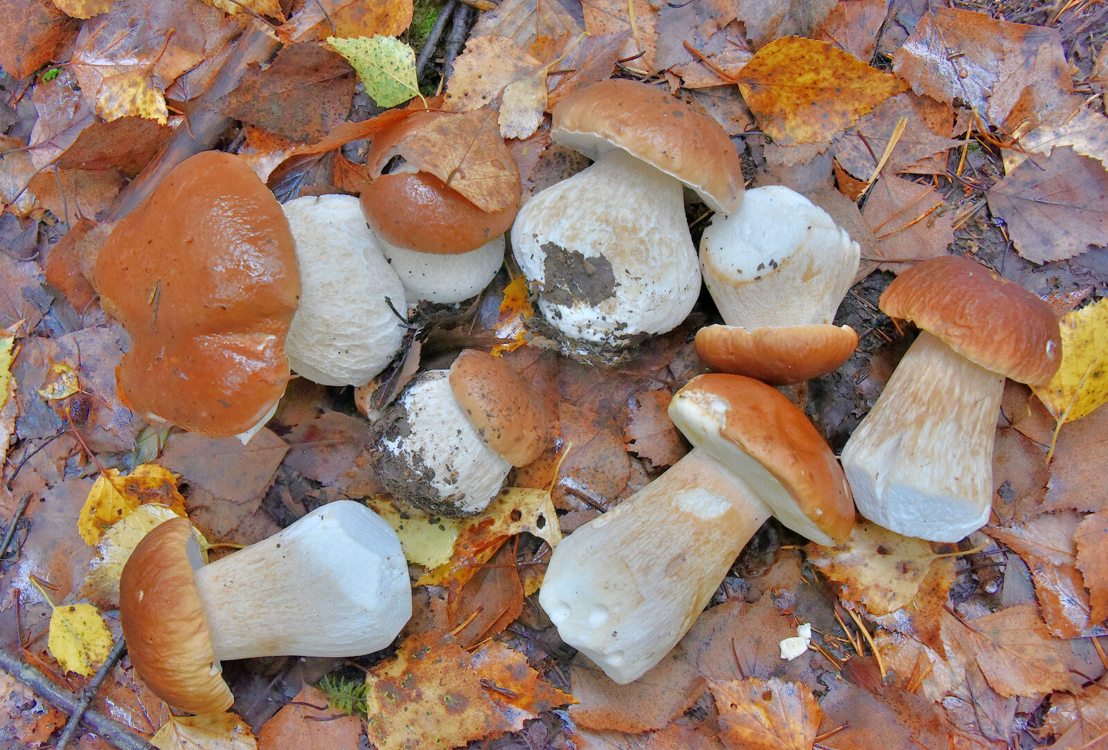 Valokuvaaja: Reijo Juurinen