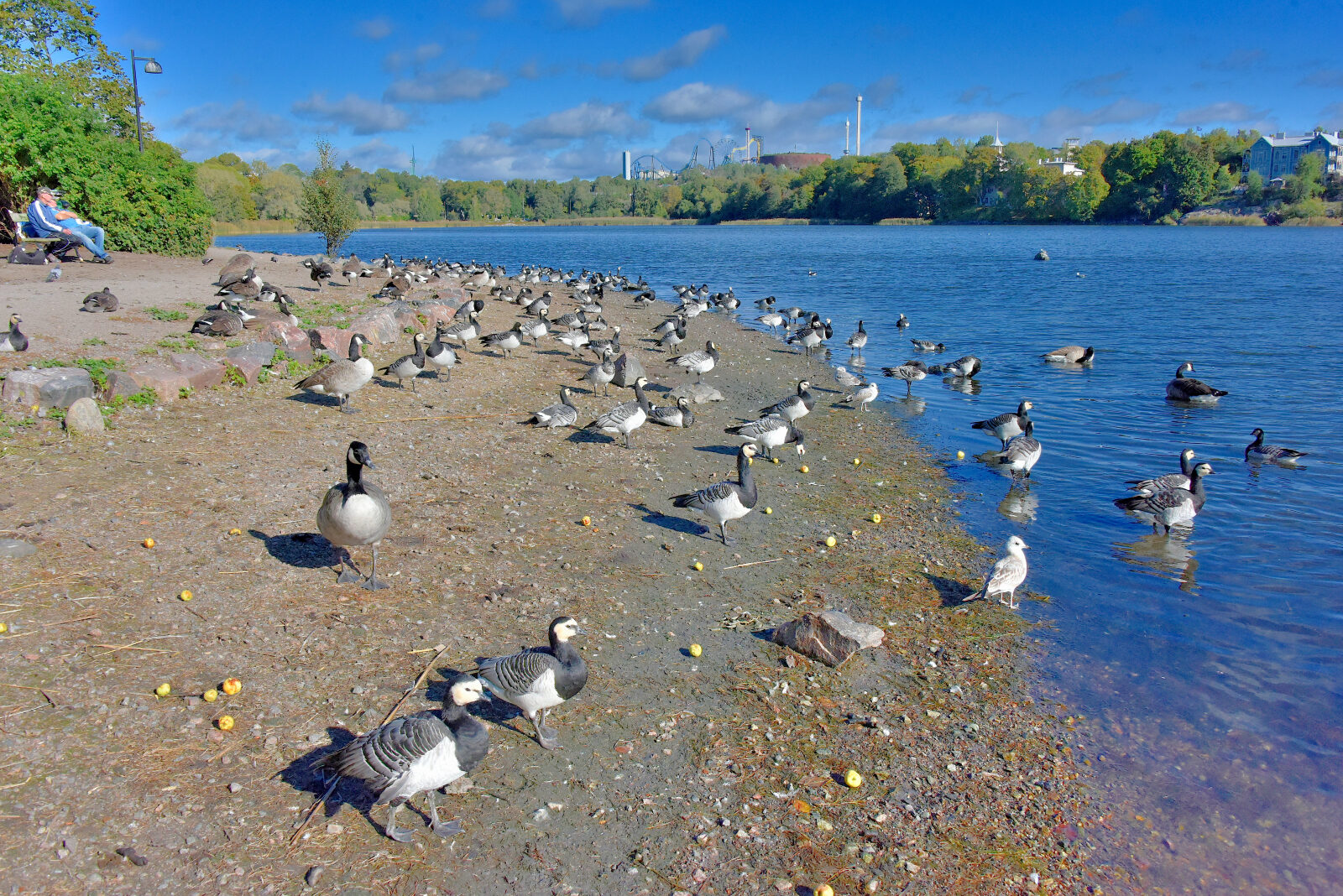 Valokuvaaja: Reijo Juurinen