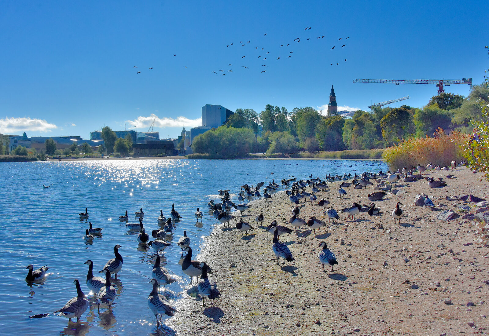 Valokuvaaja: Reijo Juurinen