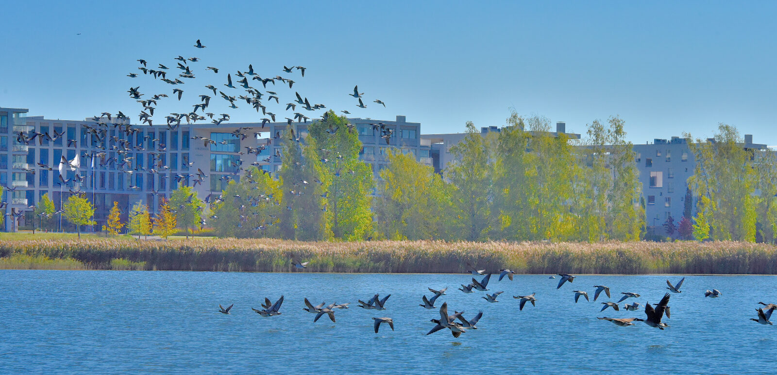 Valokuvaaja: Reijo Juurinen
