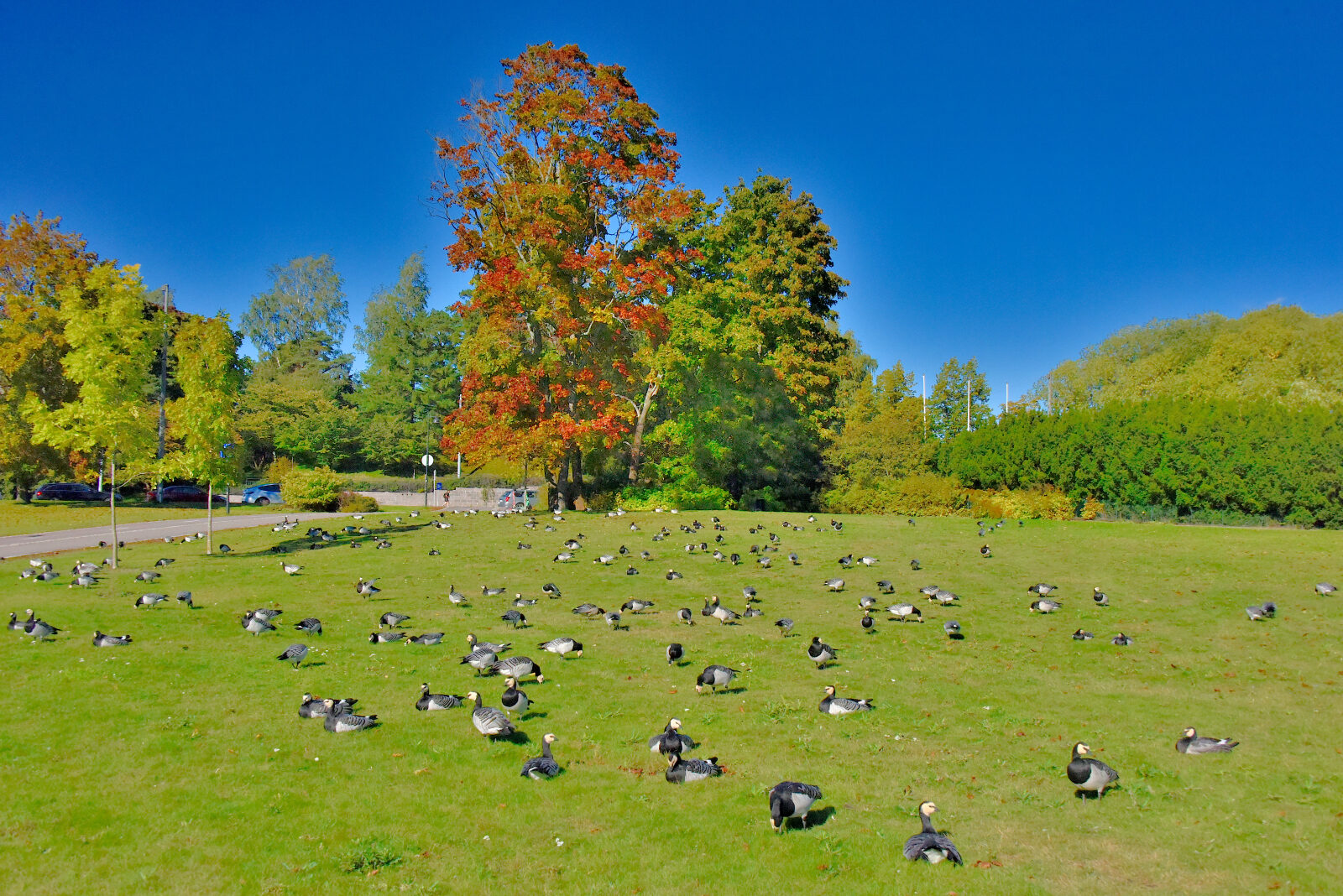Valokuvaaja: Reijo Juurinen