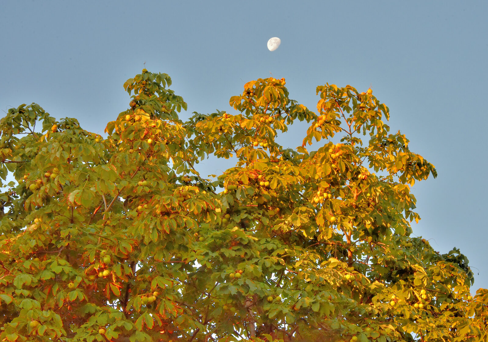 Valokuvaaja: Reijo Juurinen