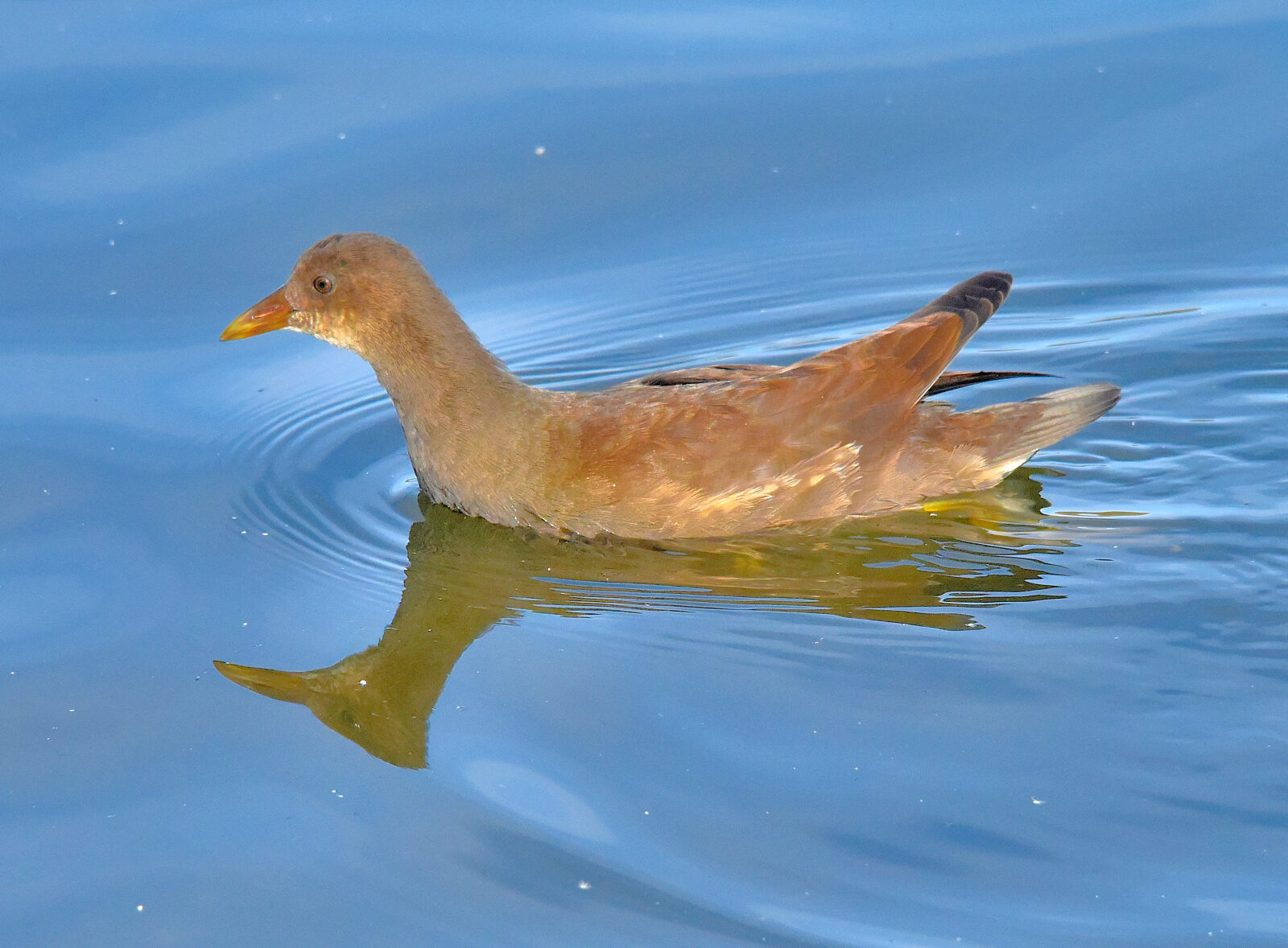 Valokuvaaja: Reijo Juurinen