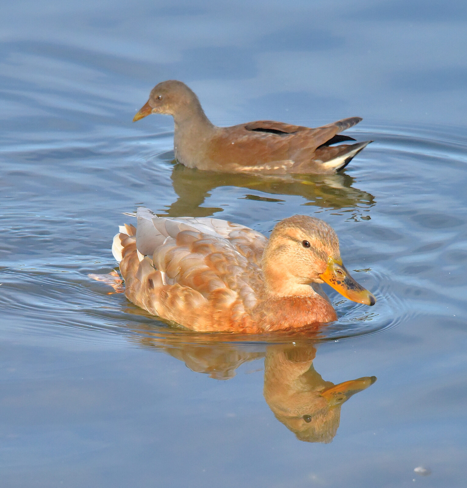 Valokuvaaja: Reijo Juurinen