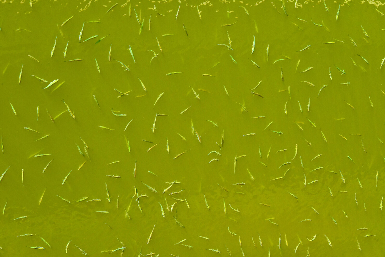 Valokuvaaja: Reijo Juurinen