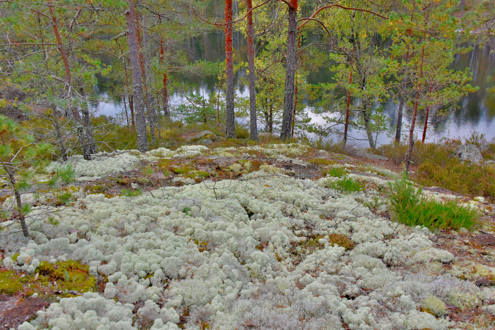 Valokuvaaja: Reijo Juurinen
