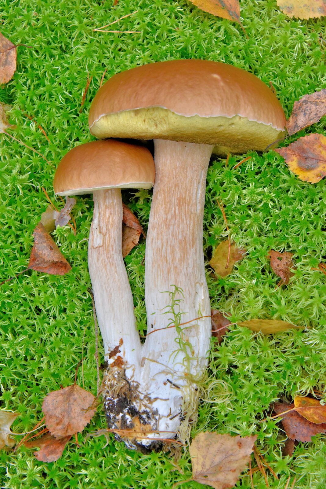 Valokuvaaja: Reijo Juurinen