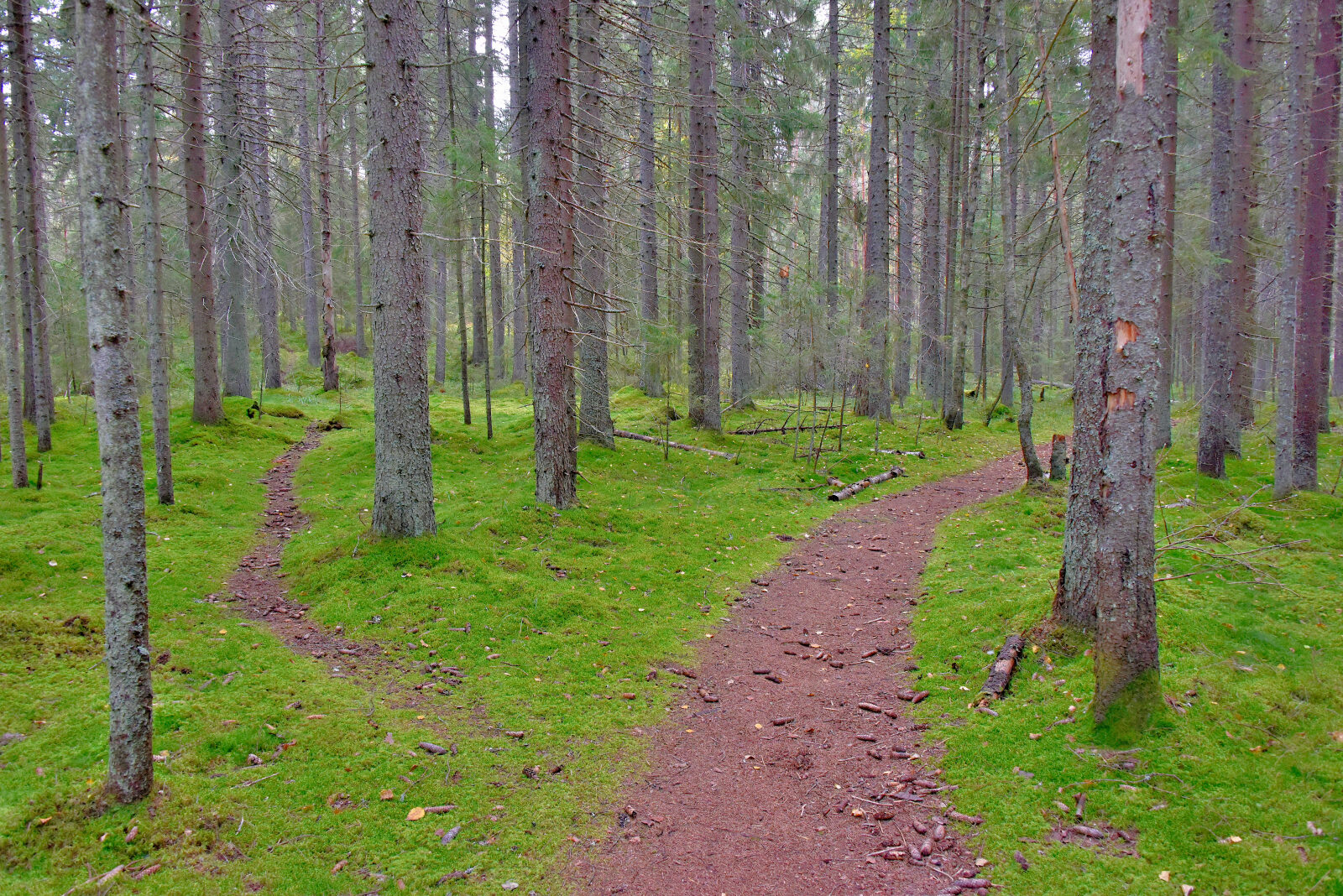 Valokuvaaja: Reijo Juurinen