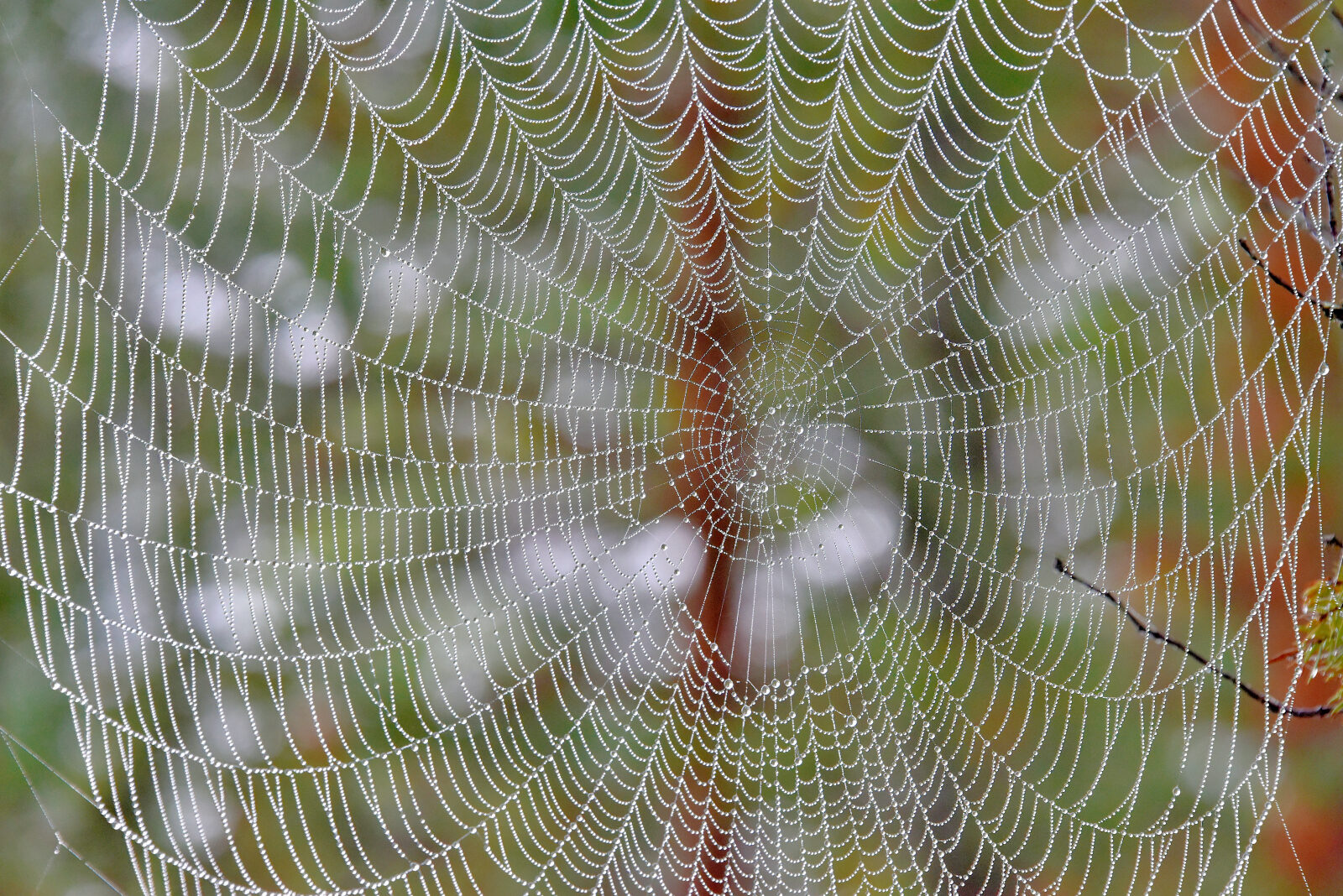 Valokuvaaja: Reijo Juurinen Valokuvaaja: Reijo Juurinen