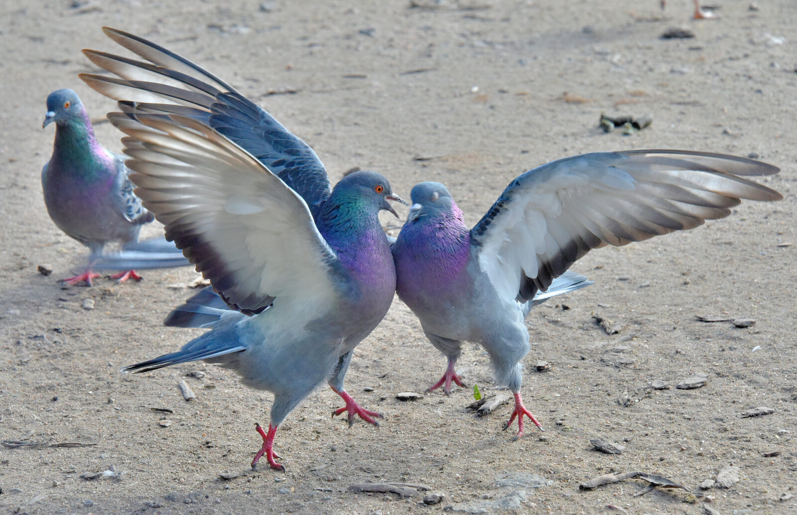 Valokuvaaja: Reijo Juurinen