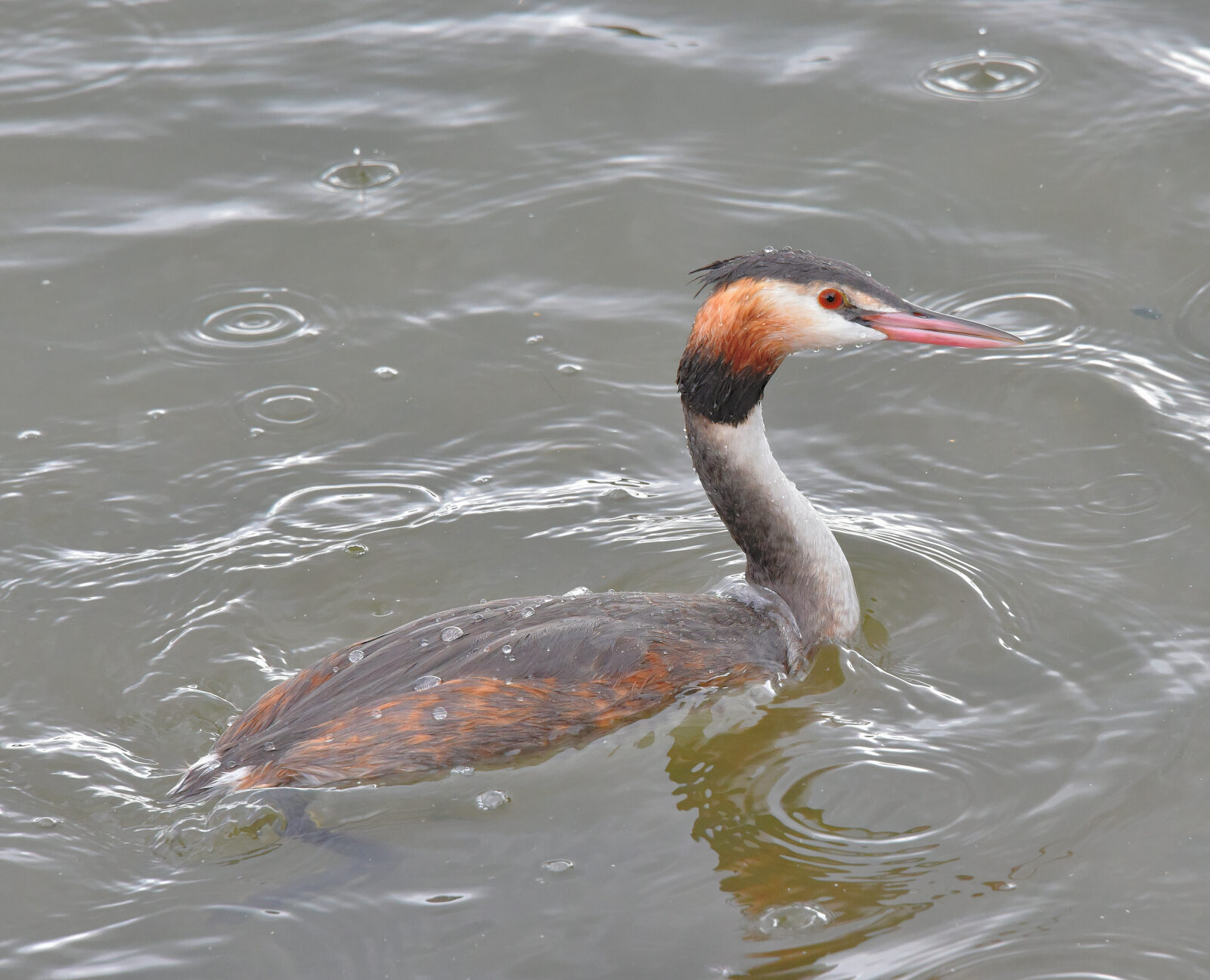 Valokuvaaja: Reijo Juurinen Valokuvaaja: Reijo Juurinen