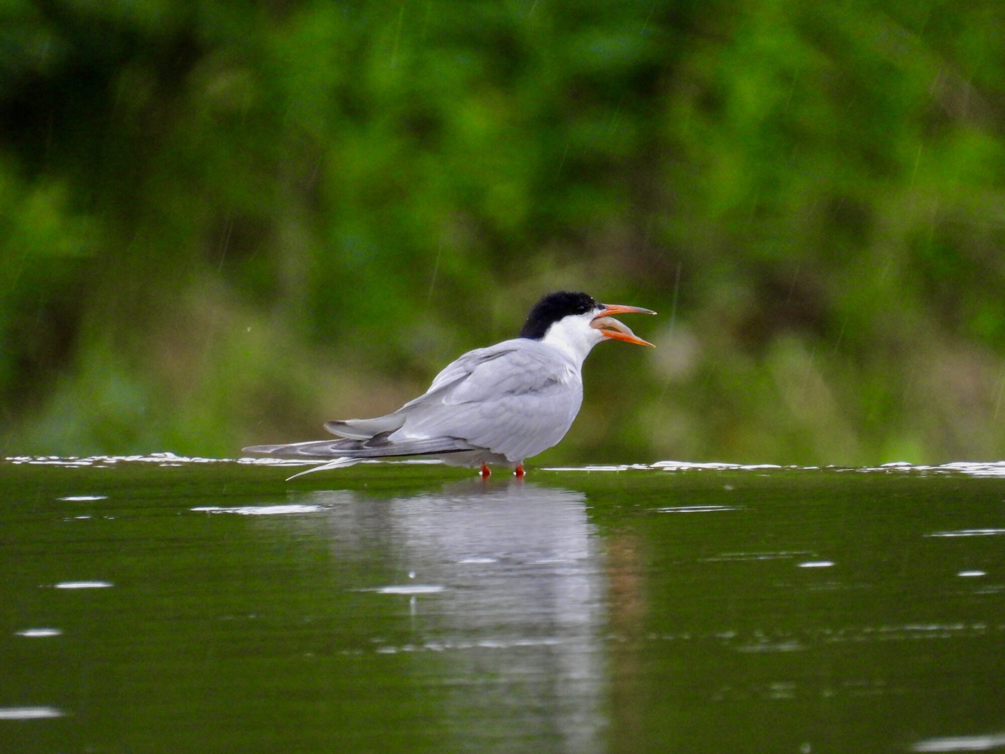 Valokuvaaja: Juhani Peltonen