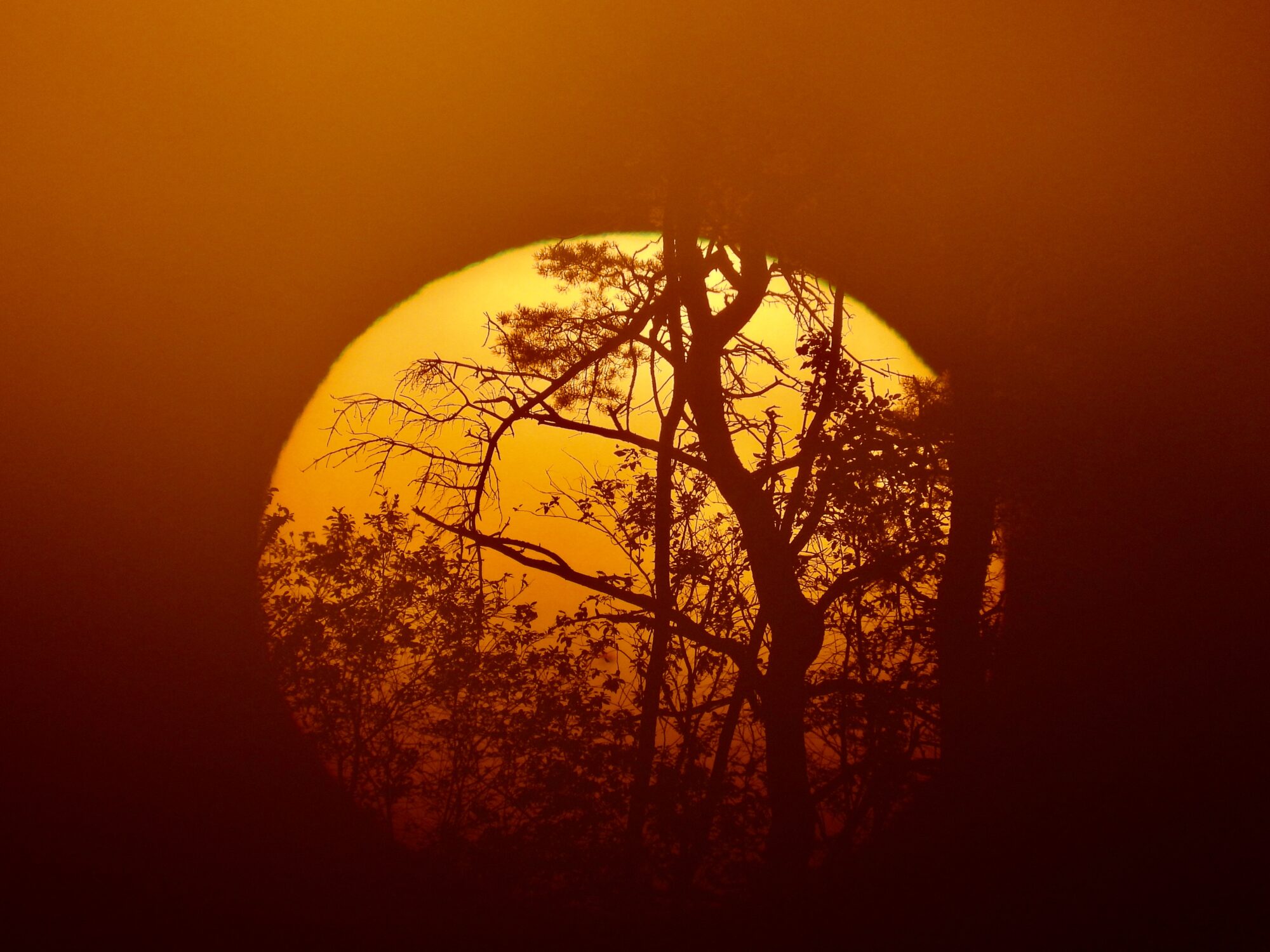 Valokuvaaja: Juhani Peltonen