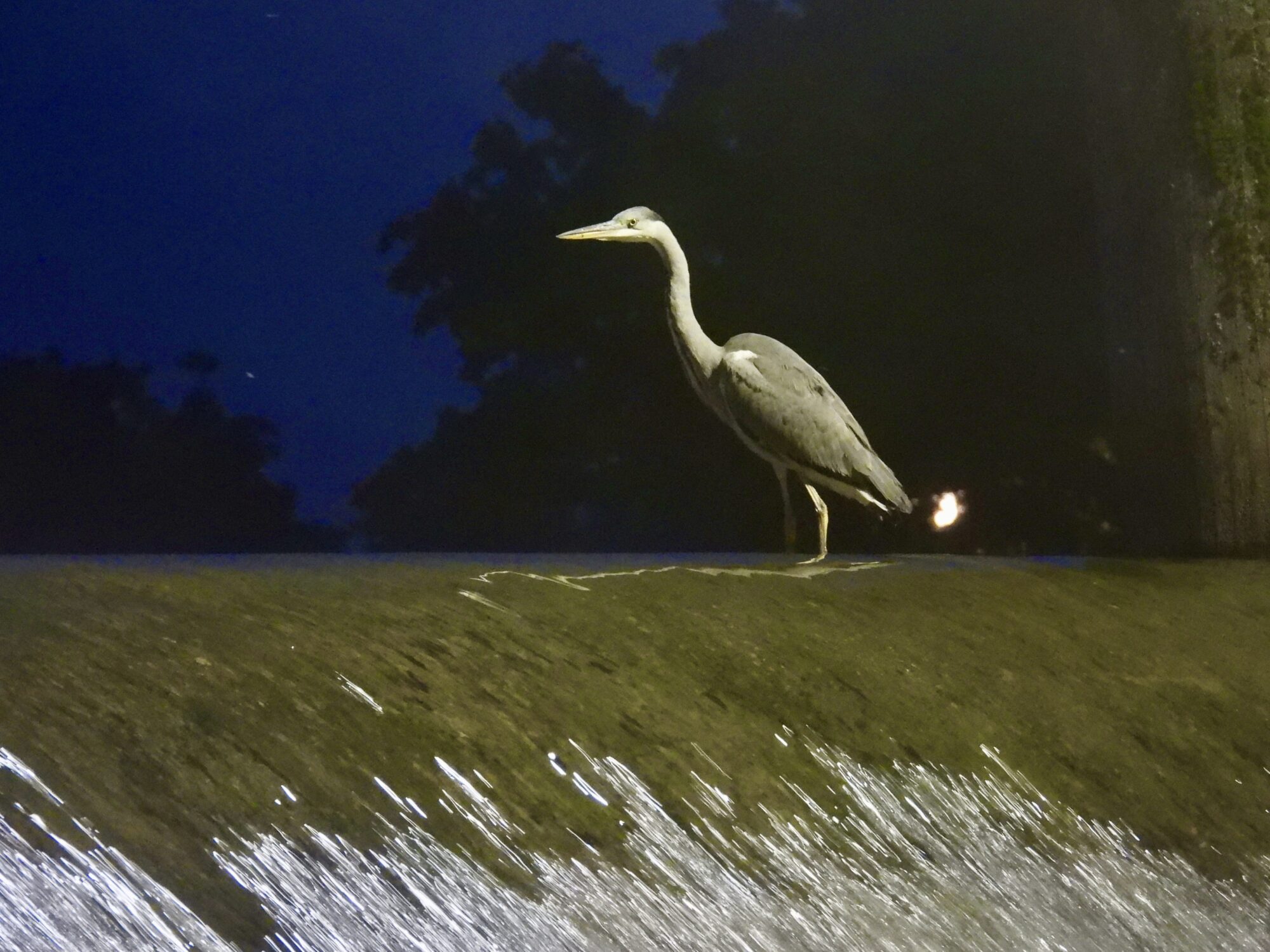 Valokuvaaja: Juhani Peltonen