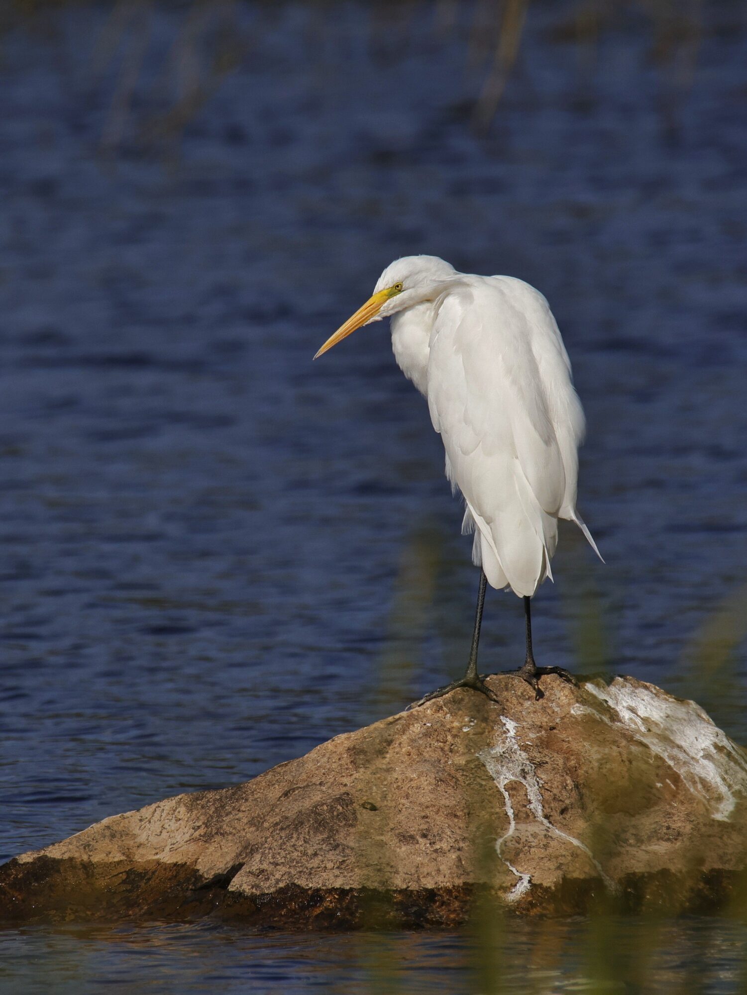 Valokuvaaja: Timo Lappalainen