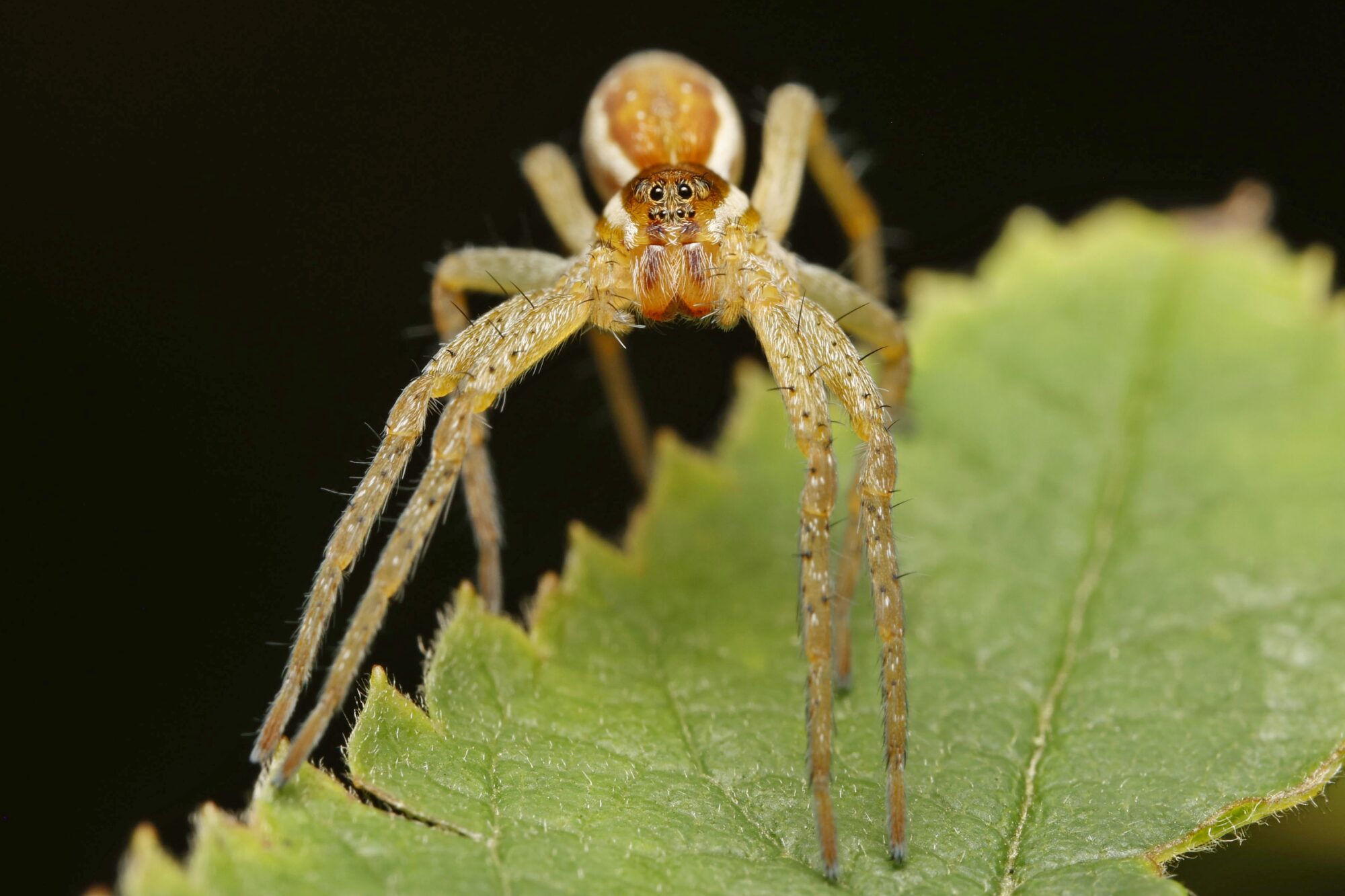 Valokuvaaja: TOMMI KUJALA