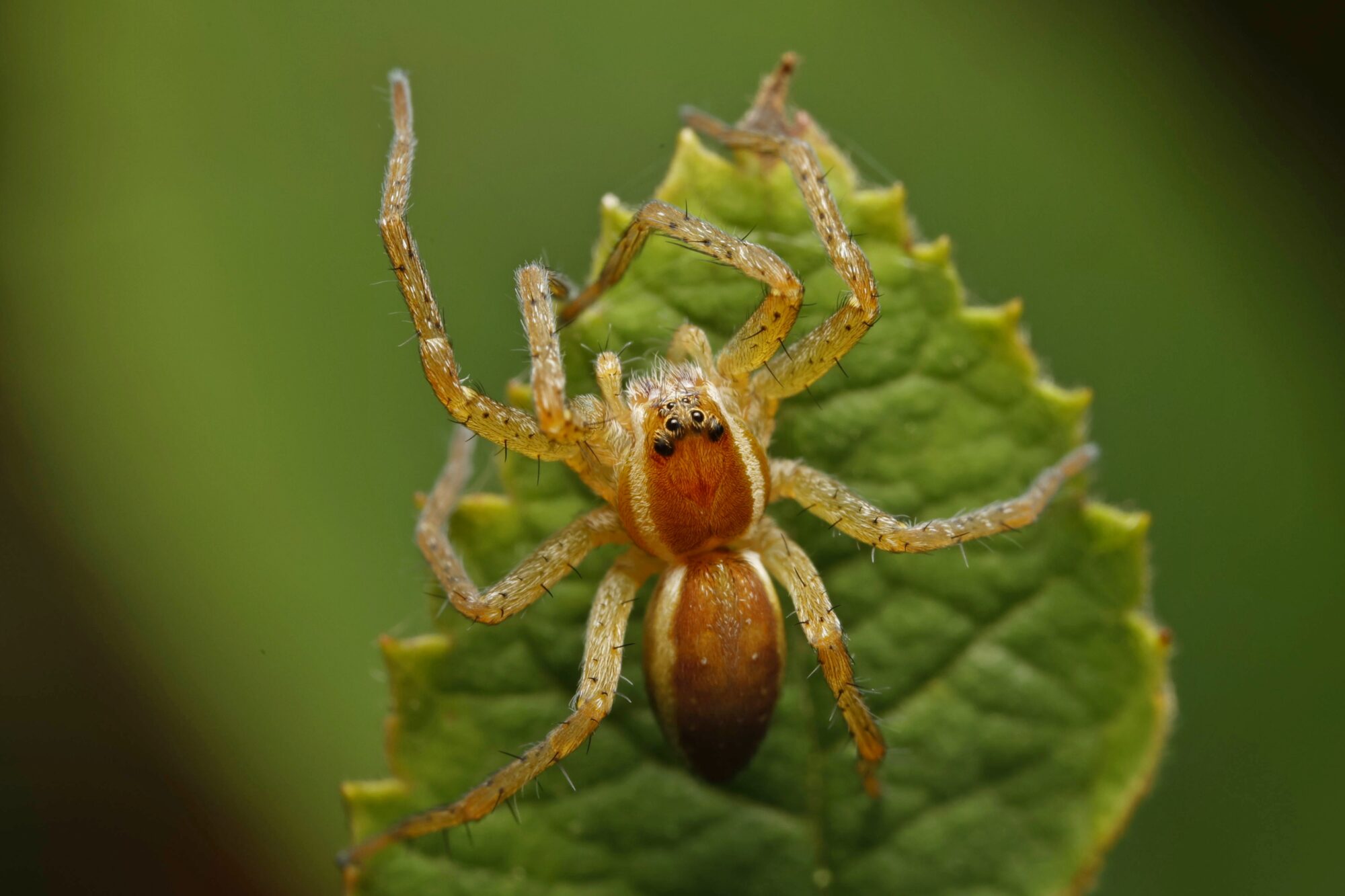 Valokuvaaja: TOMMI KUJALA